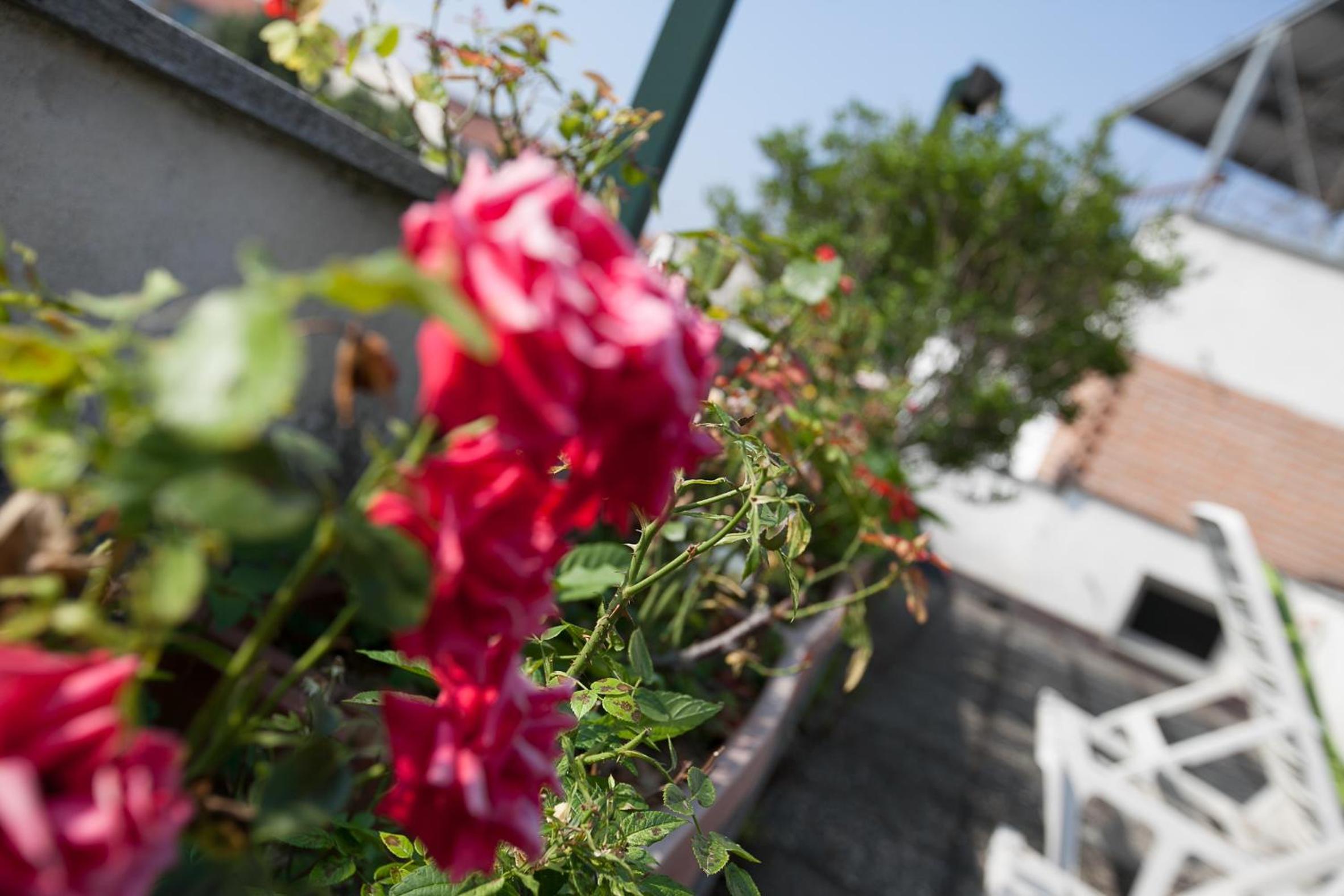 Superior Double Room with Terrace