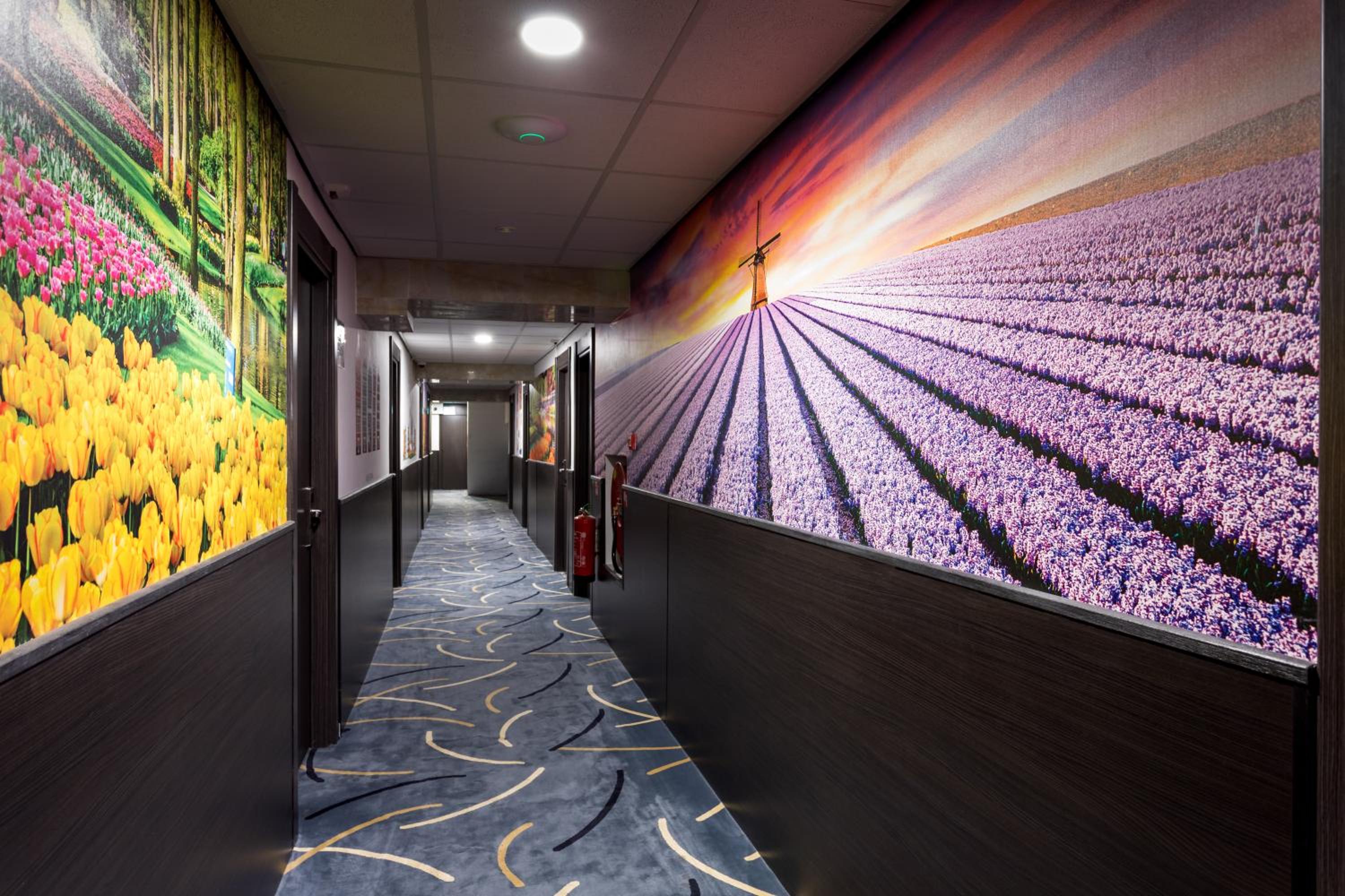 Triple Room without Window