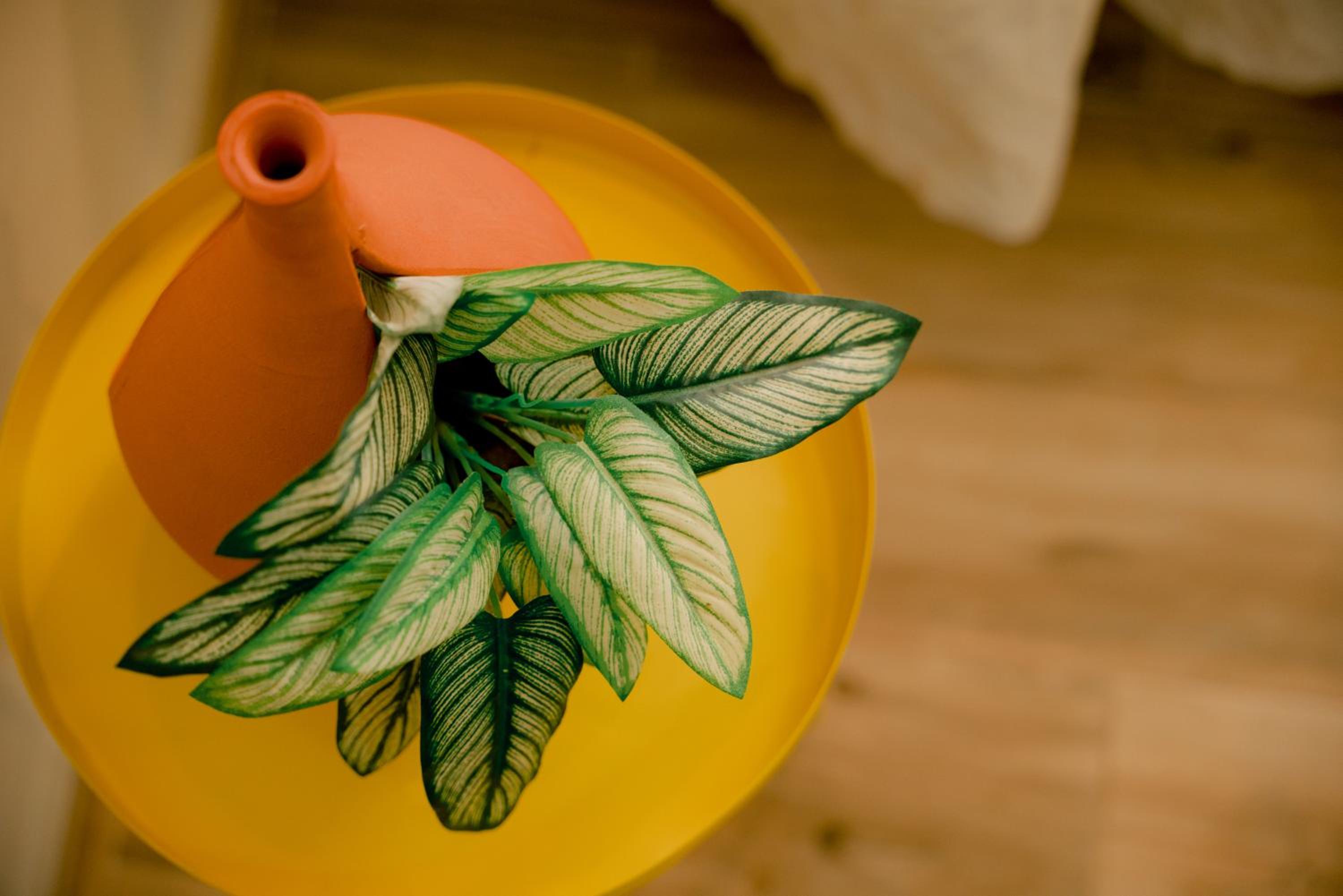 Superior Single Room