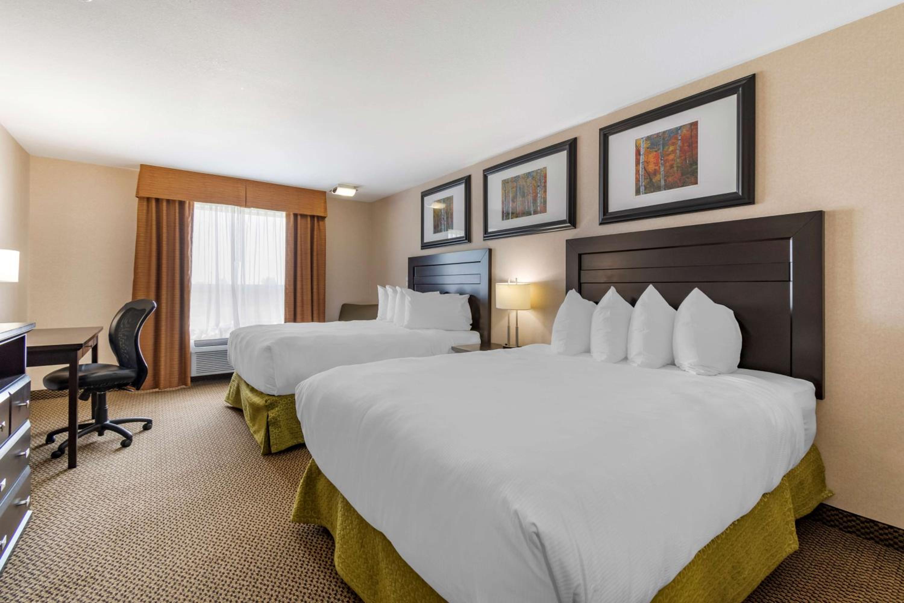 Queen Room with Two Queen Beds - Non-Smoking