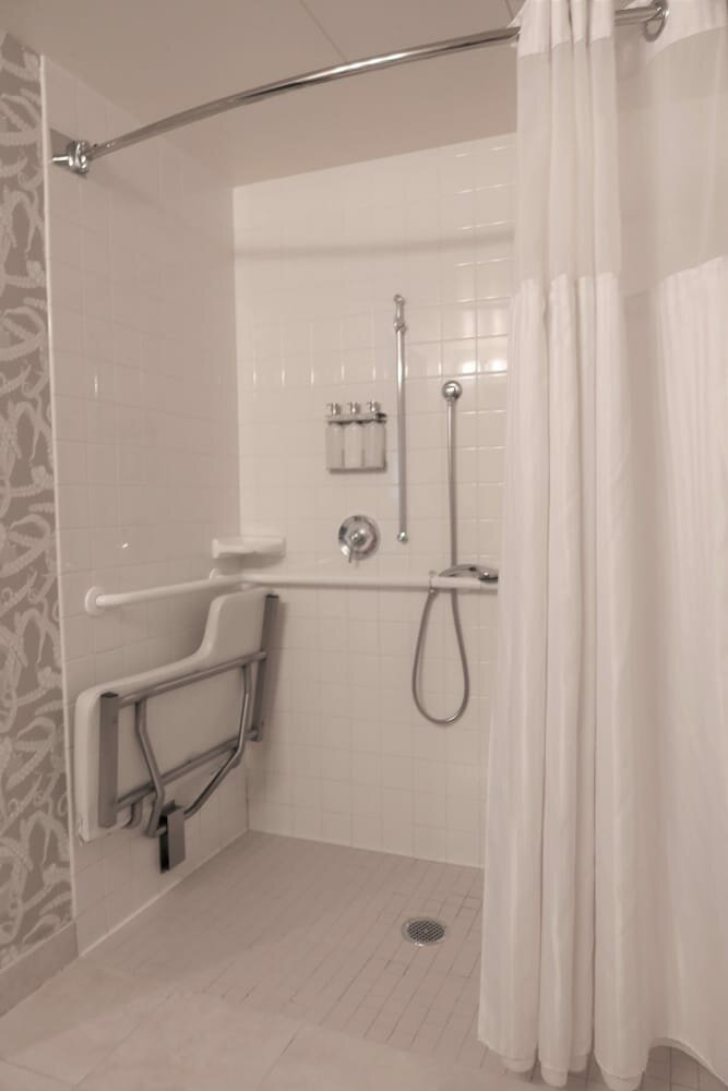 Room, 1 King Bed, Mobility Accessible, City View (Roll-In Shower)