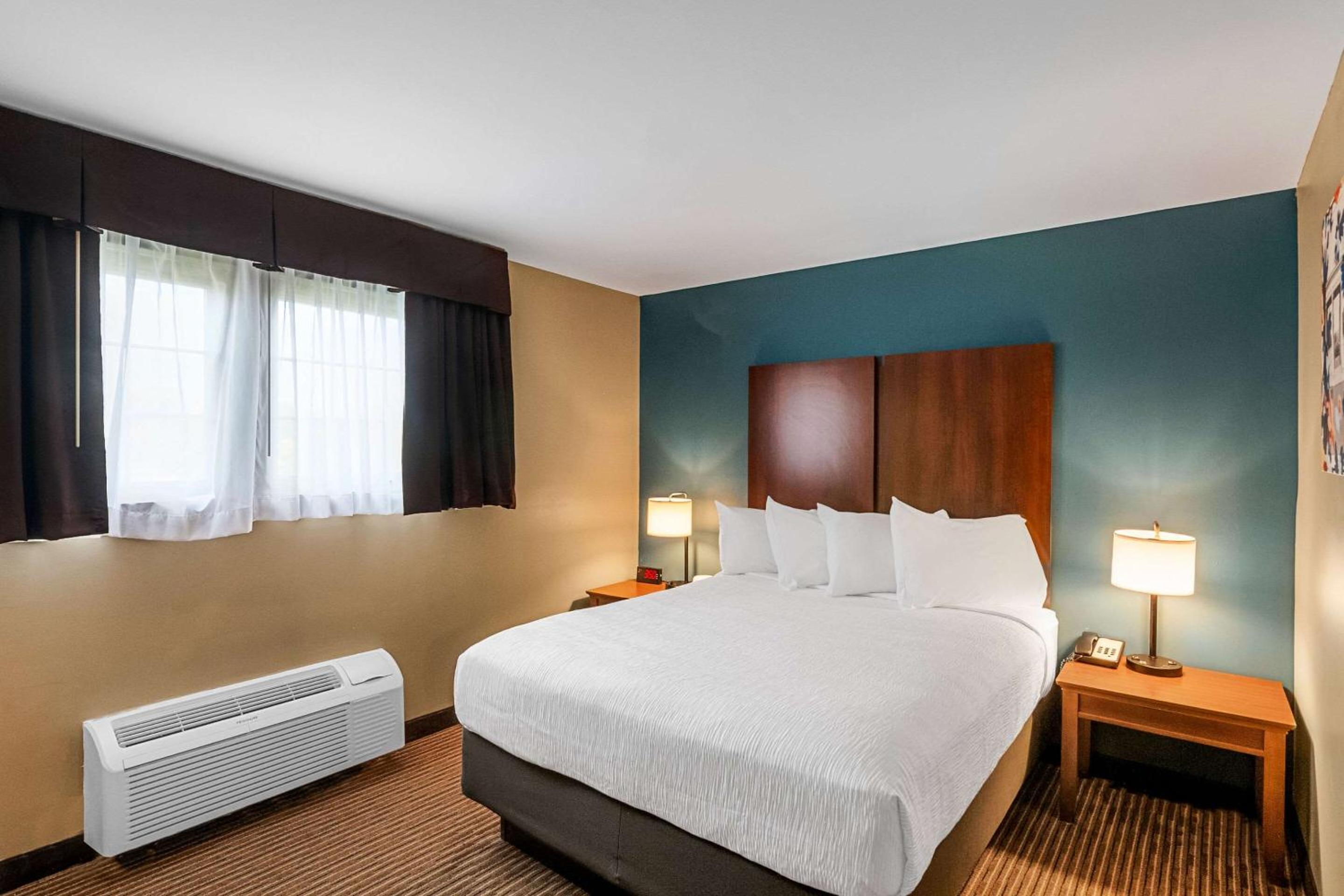 One Room Suite with Sofa bed - Disability Access/Non Smoking