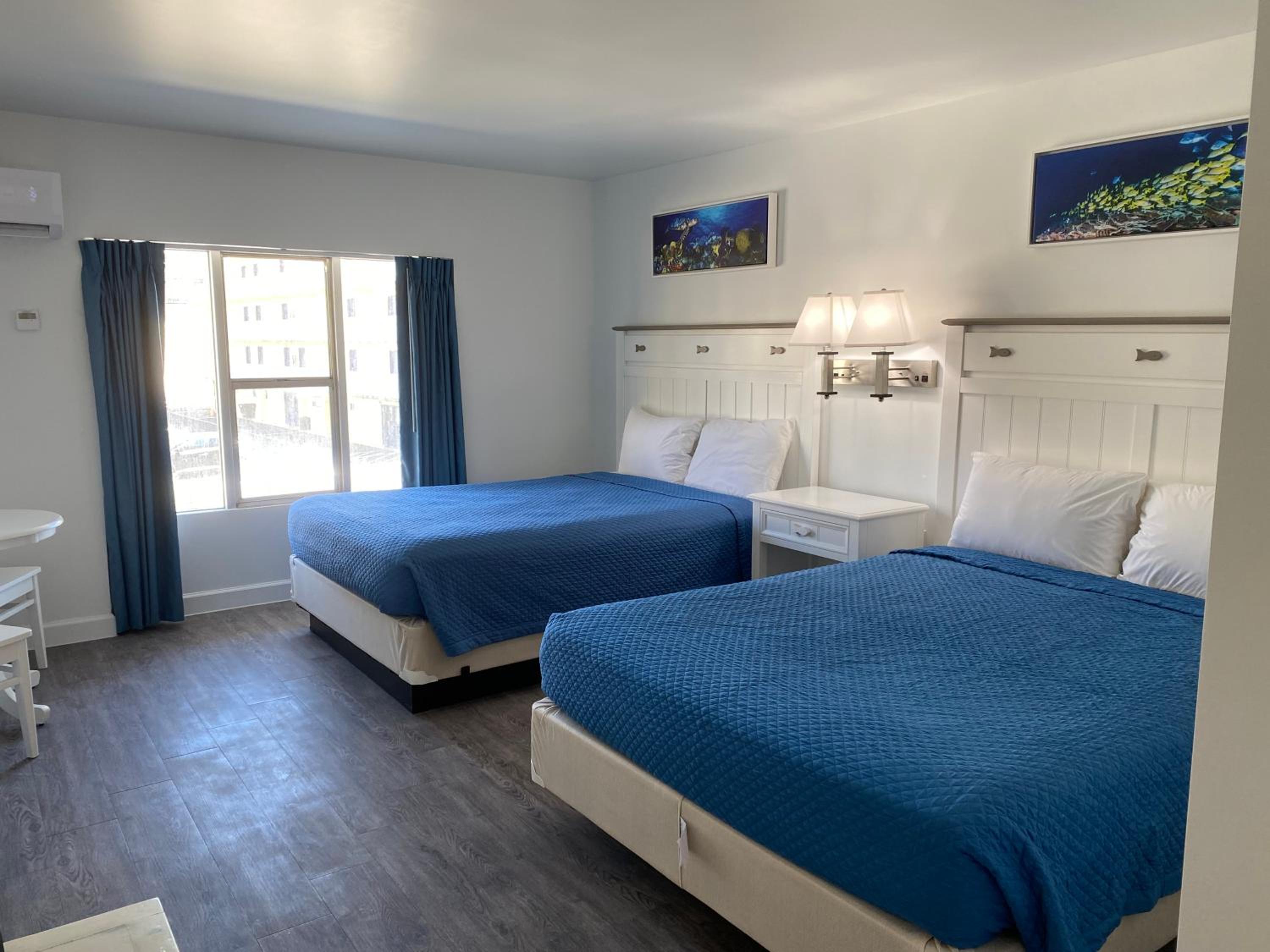 Ocean view Room; Without balcony 