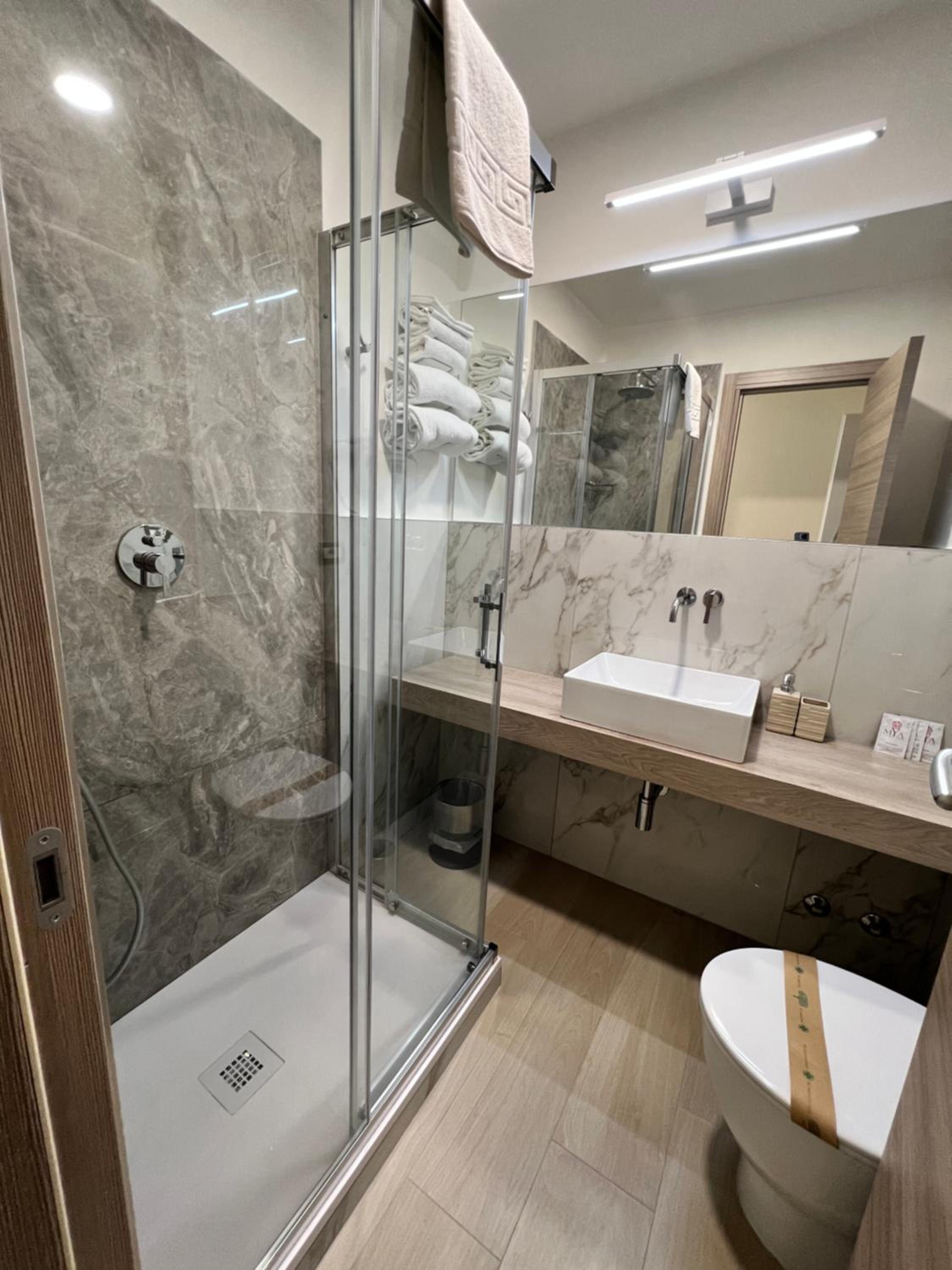 Large Double or Twin Room