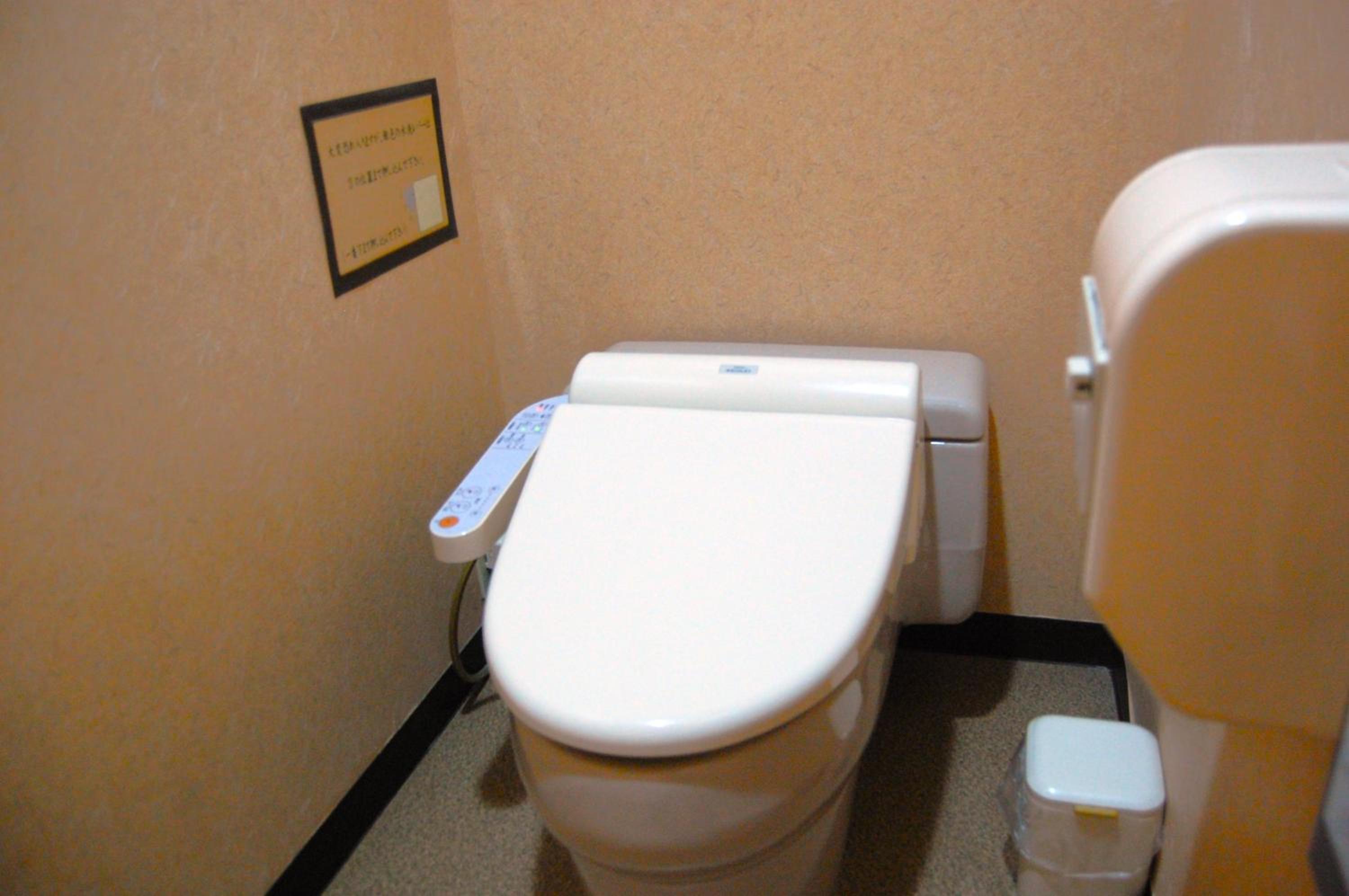 Japanese-Style Superior Room