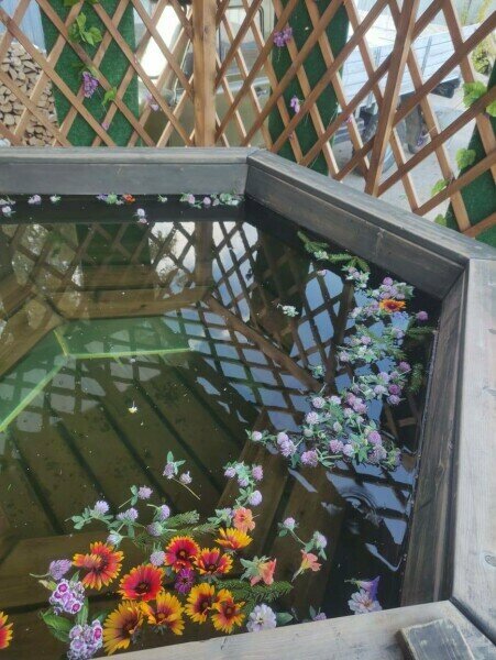 Шале с зоной кострища и беседкой