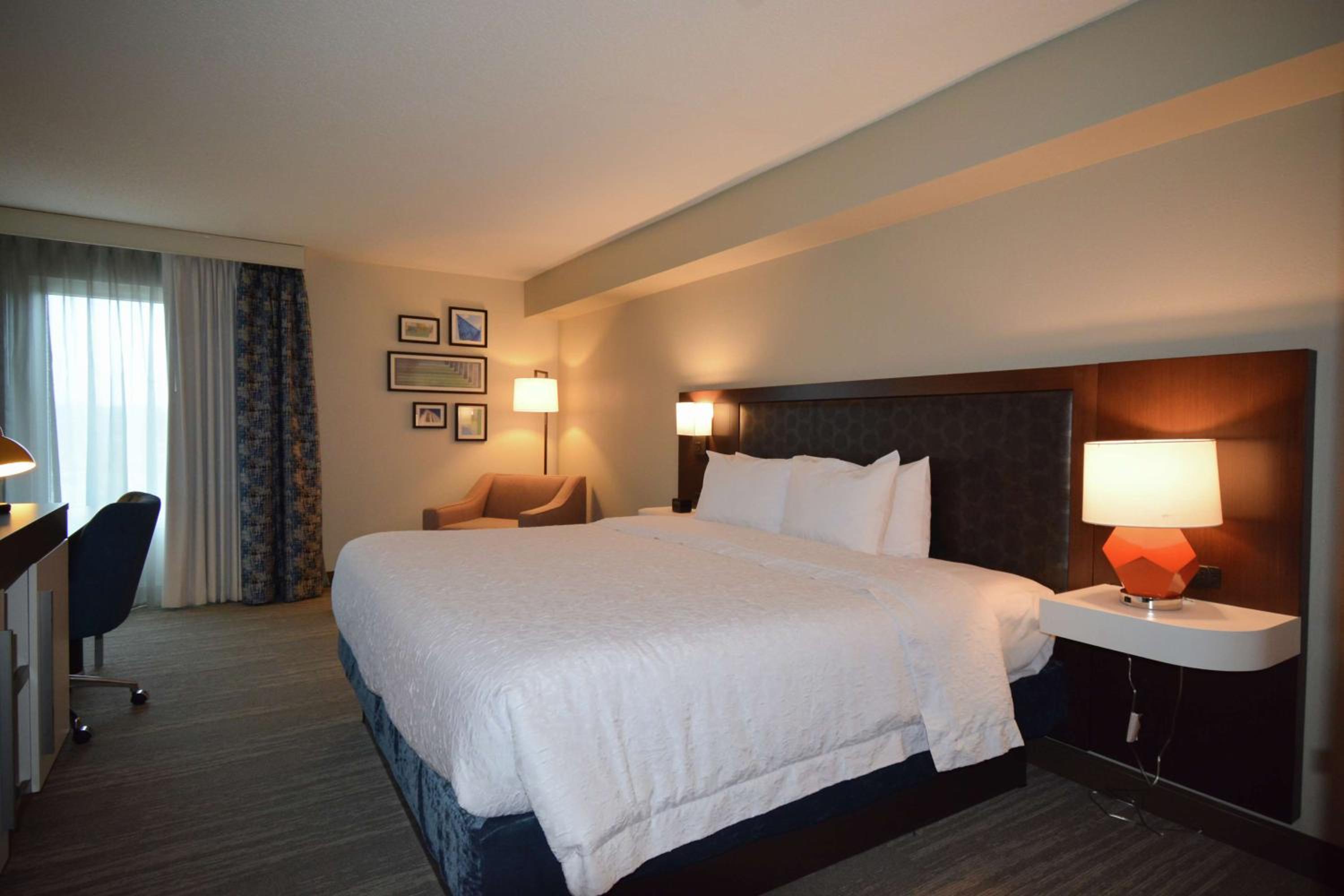 Two-Room King Suite with Sofa Bed