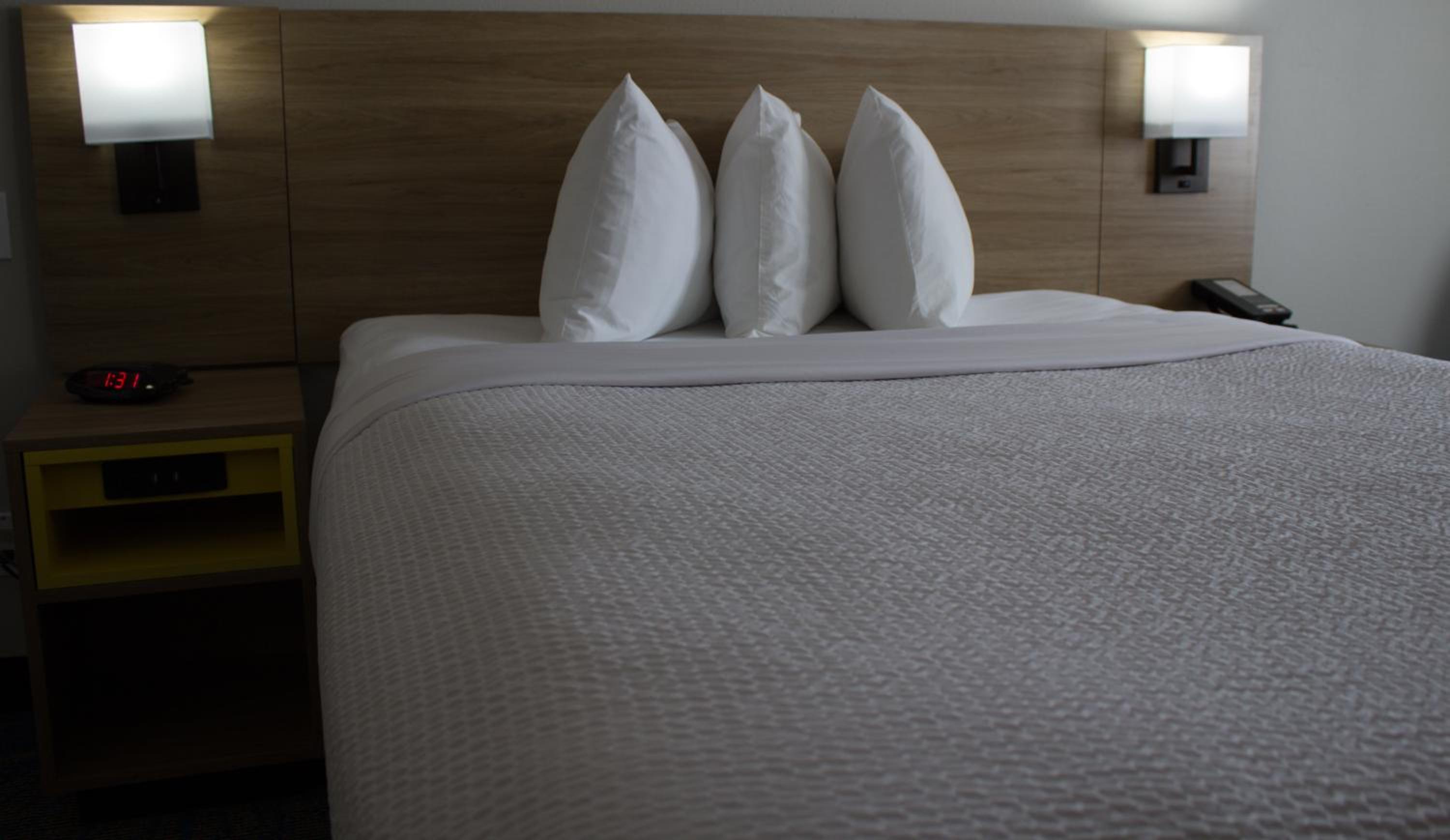 King Room - Pet Friendly/Non-Smoking