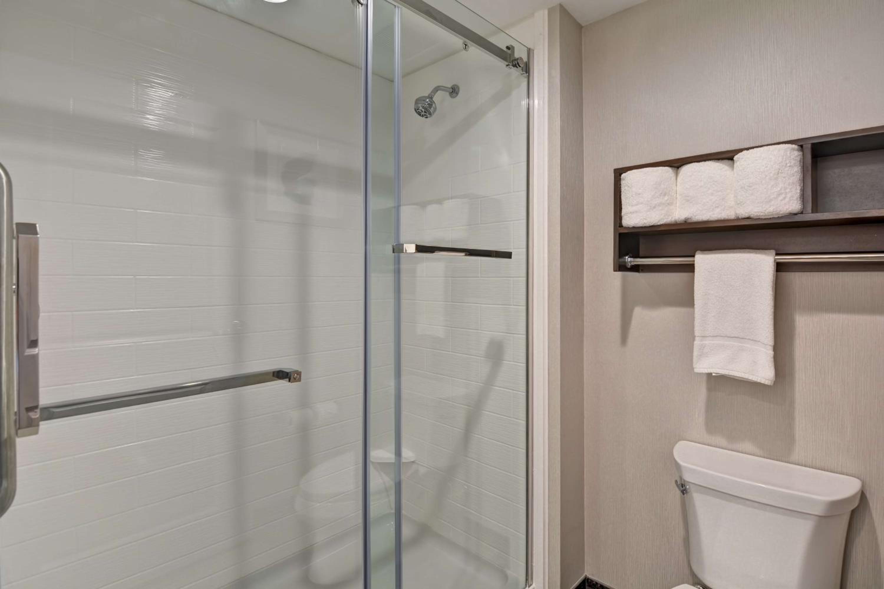 One-Bedroom King Suite - Non-Smoking