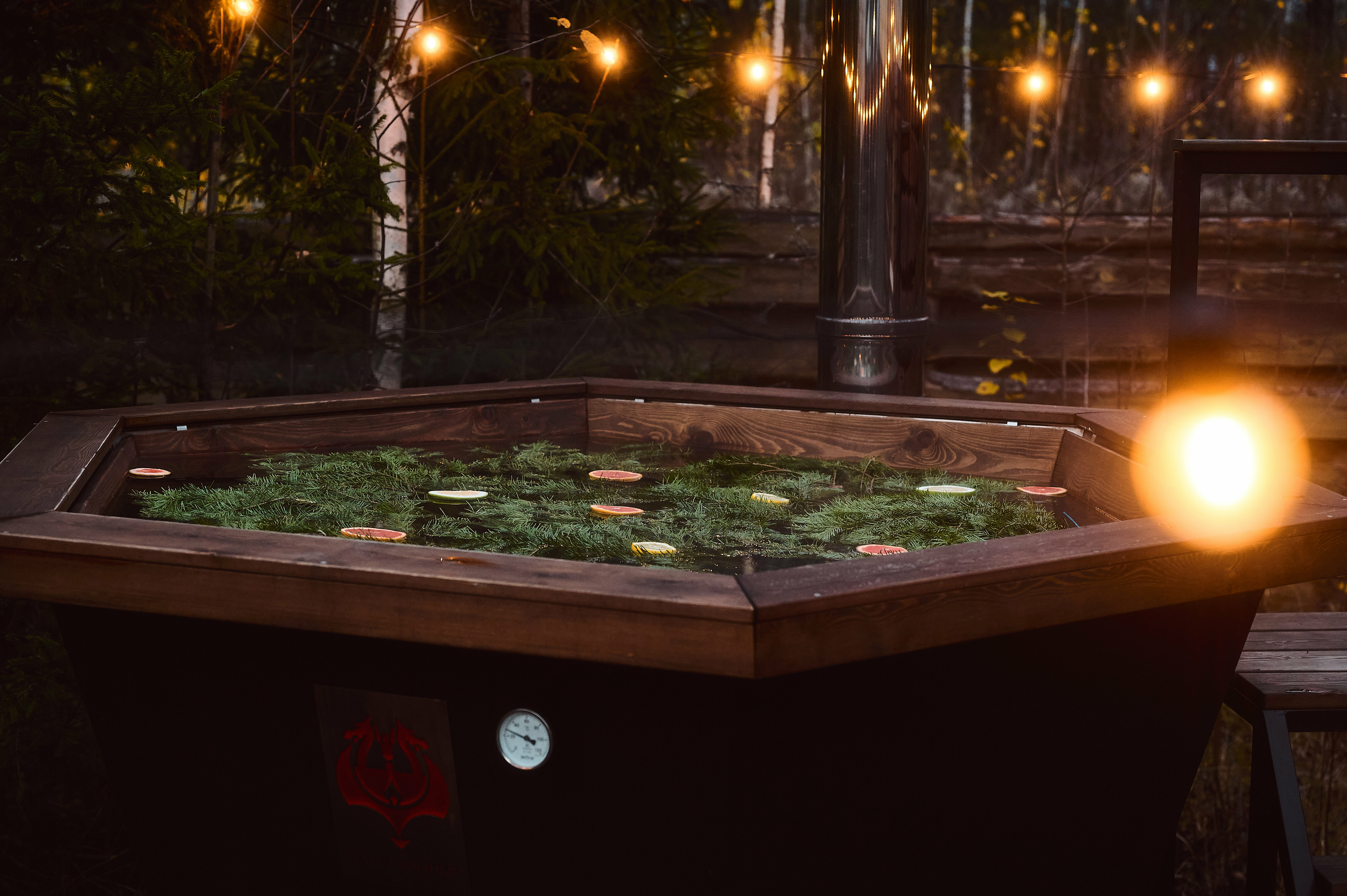 Дом с видом на лес