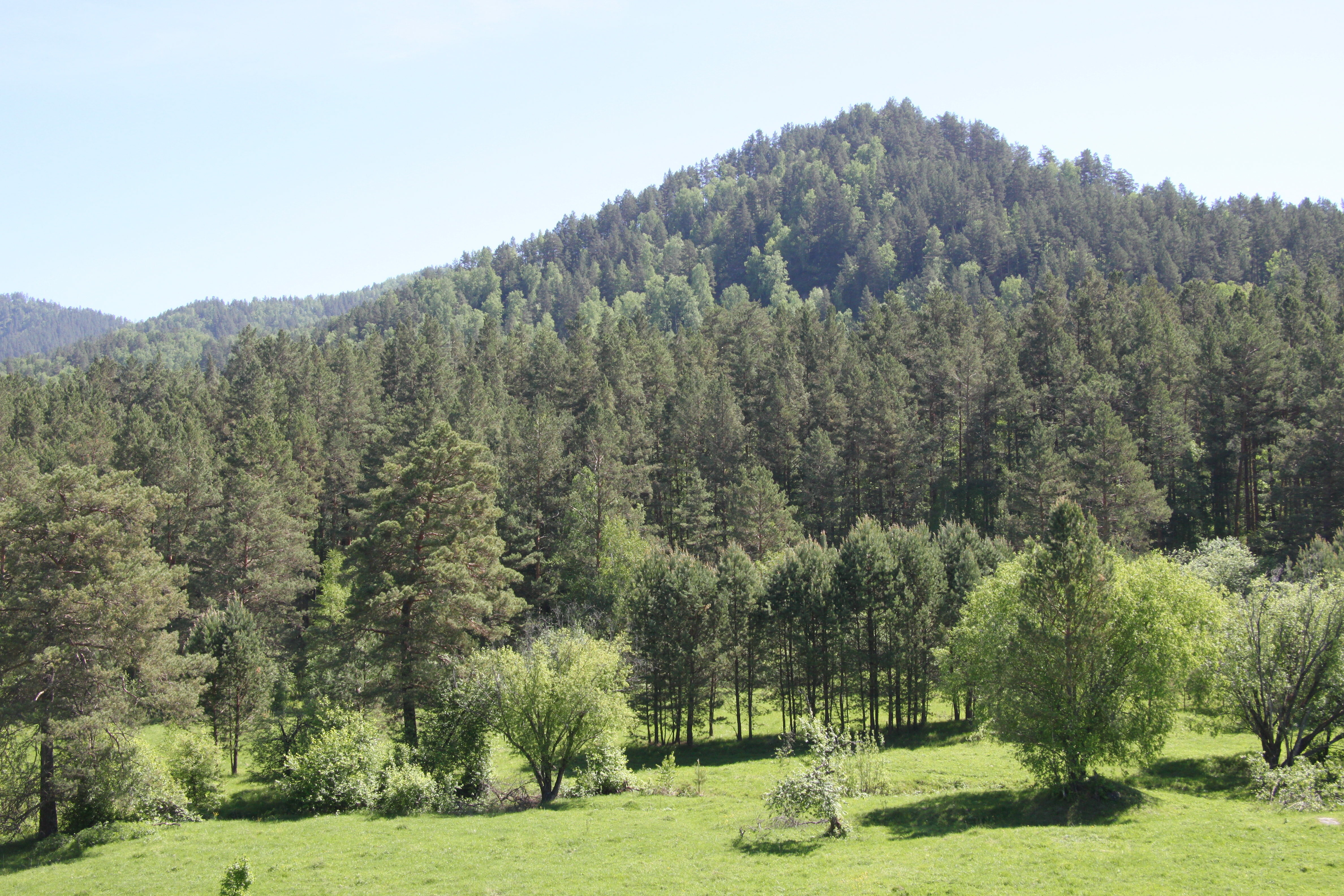 Номер «Шале на склоне двухкомнатный»