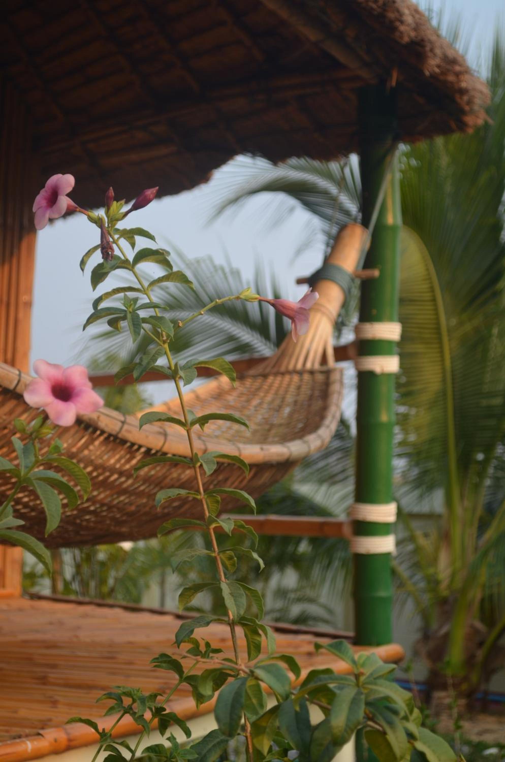 Deluxe Bungalow With Garden View