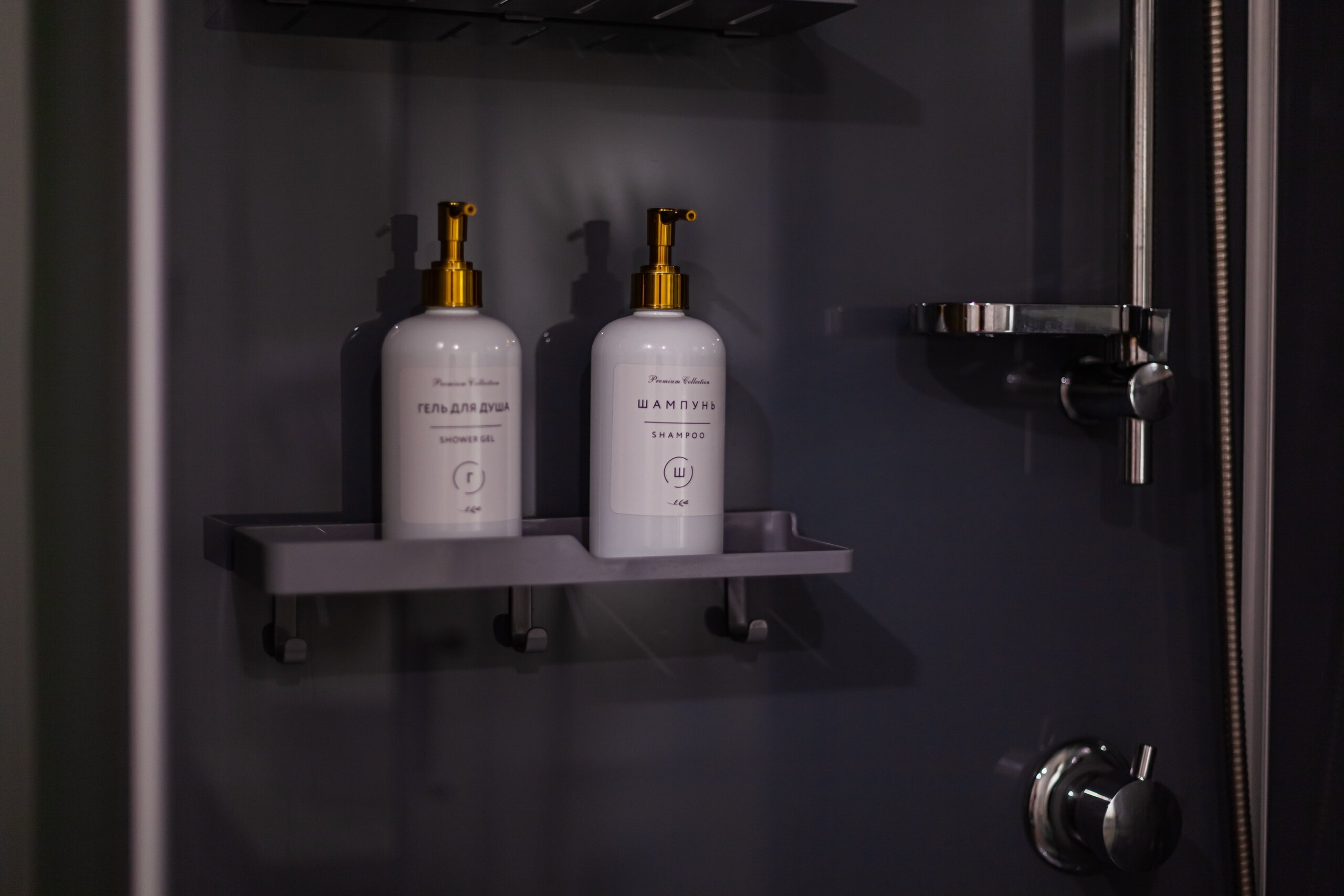 Купол «Петроглифы»