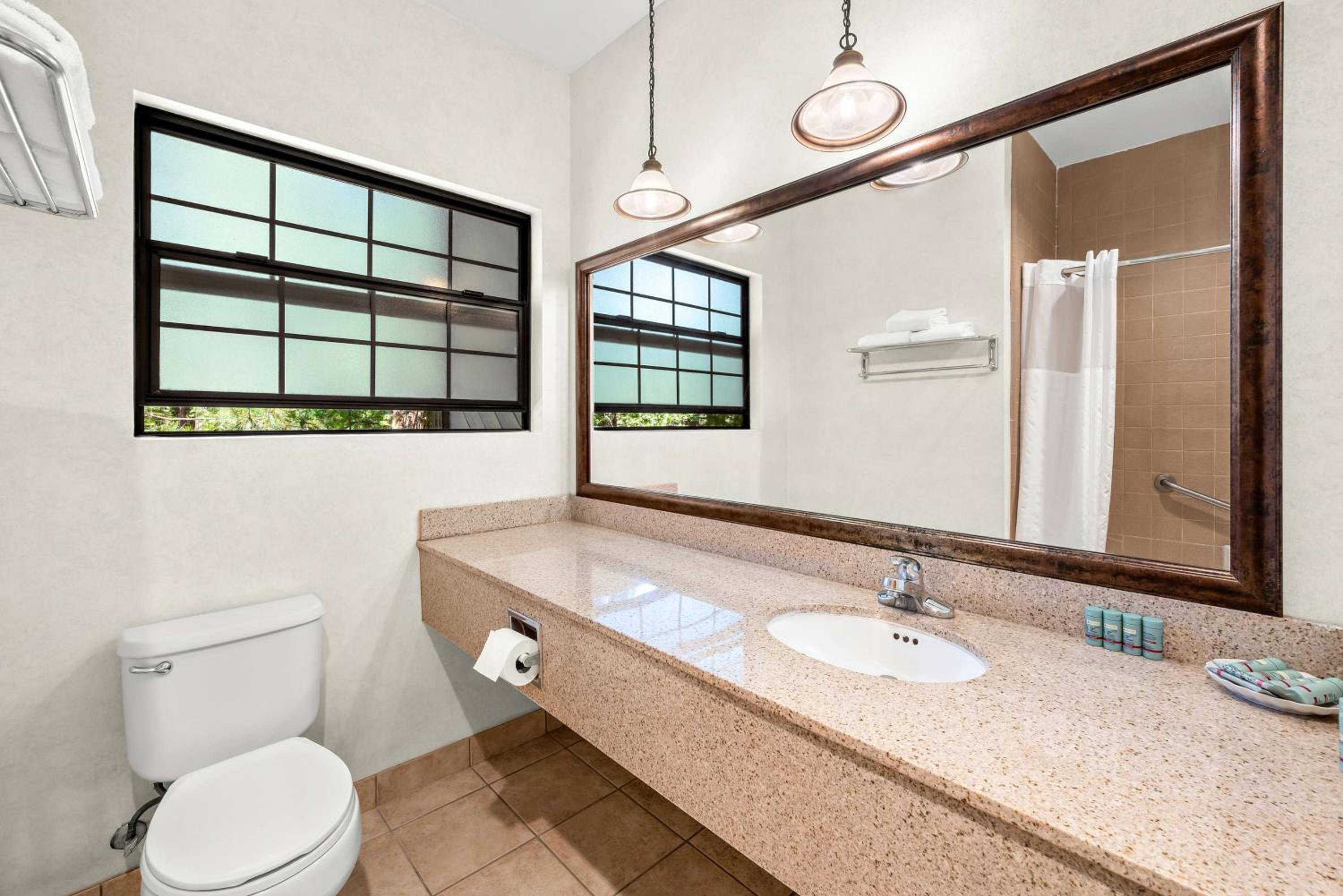 One-Bedroom King Suite with Sofa Bed