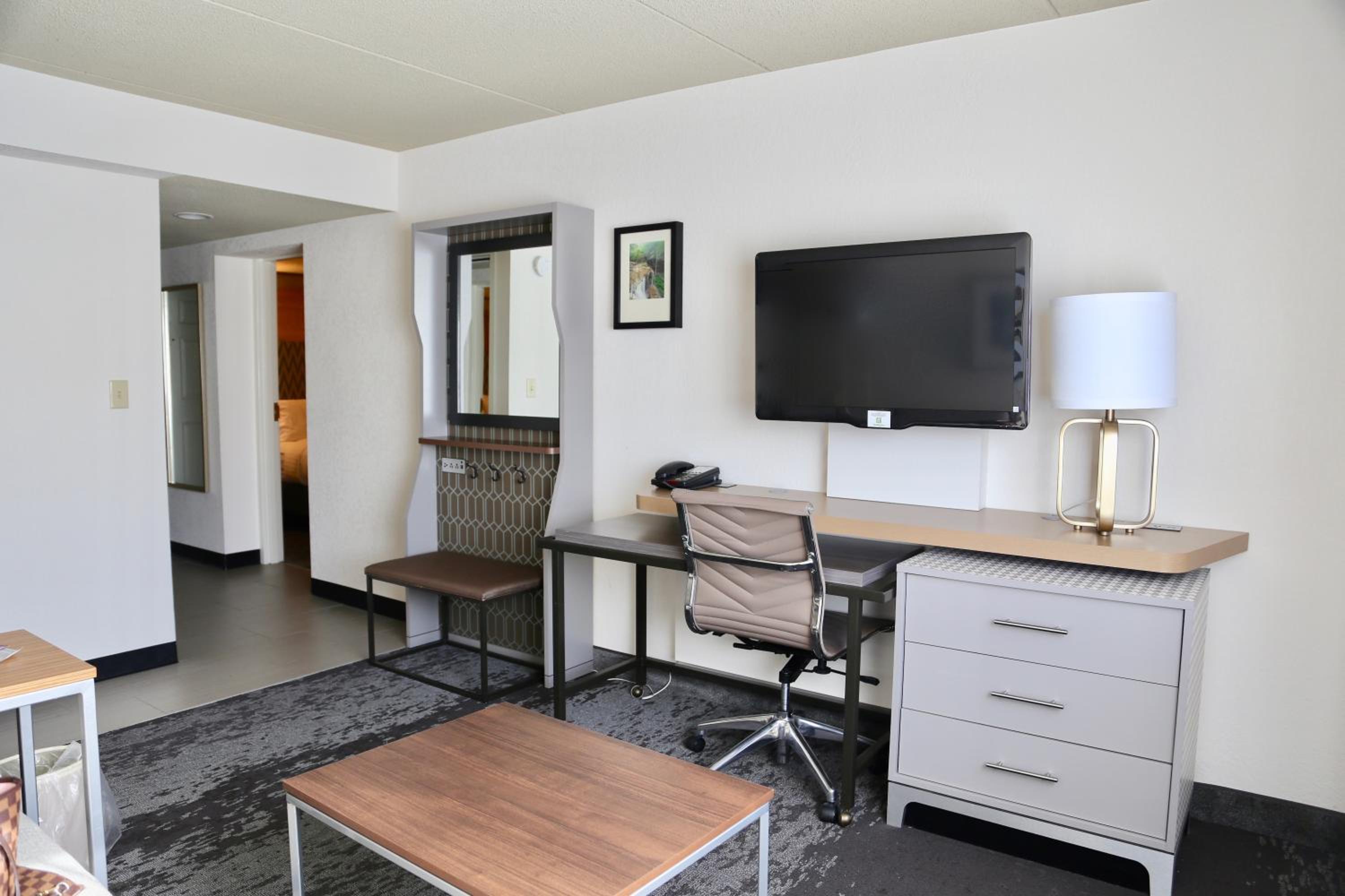 One-Bedroom King Suite