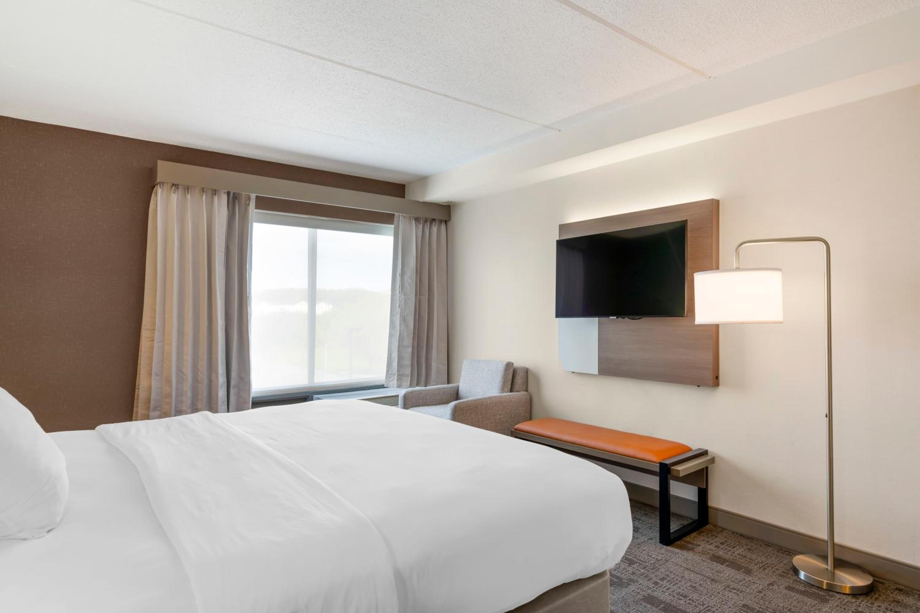 King Suite - Accessible/Non-Smoking