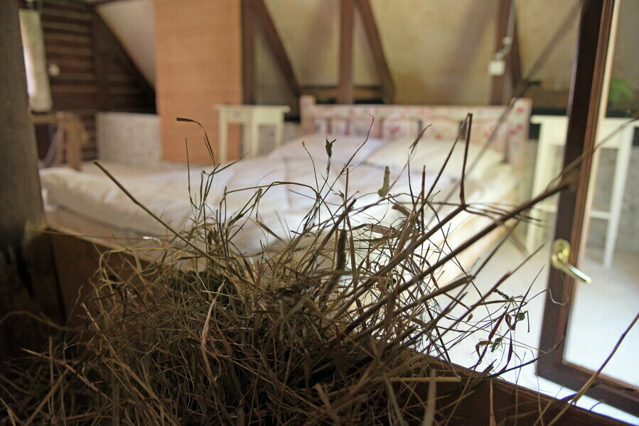 Дом с сеновалом