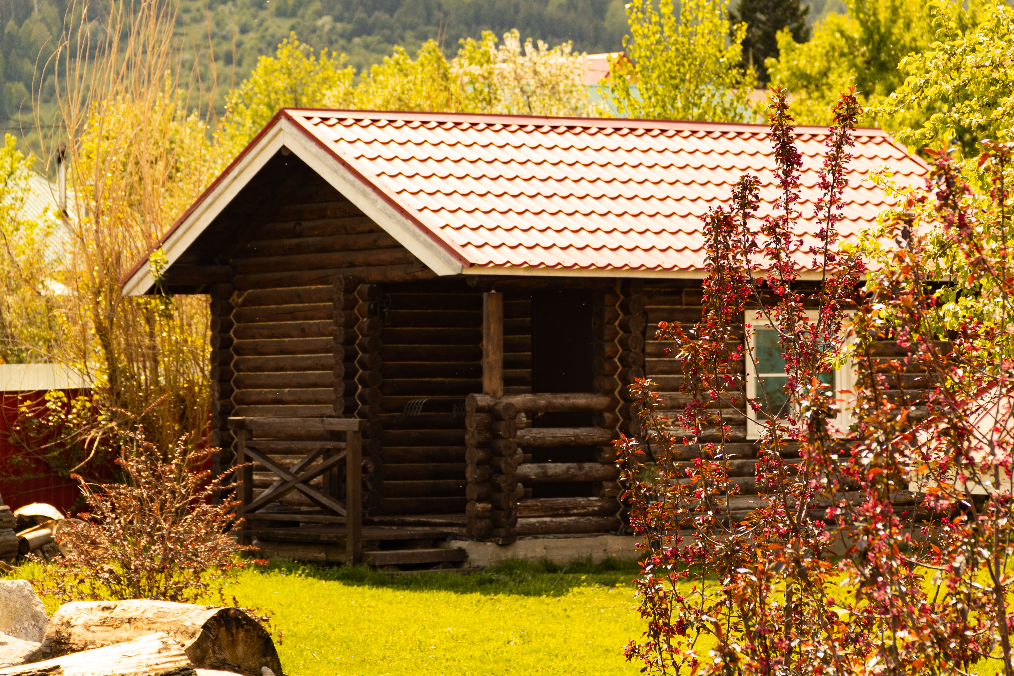 Двухместный номер с 2 отдельными кроватями, вид на сад