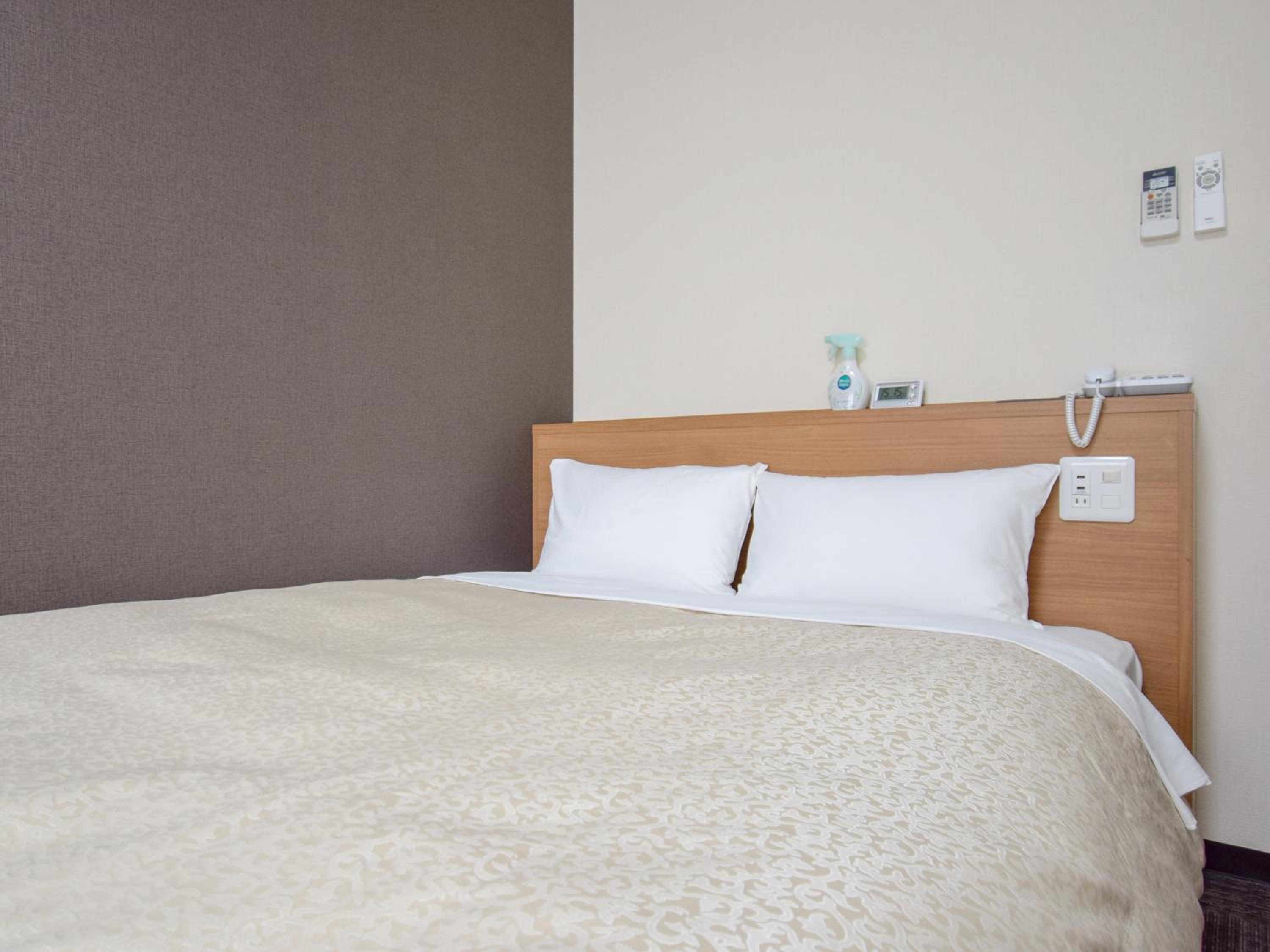 Double Room - Non-Smoking 