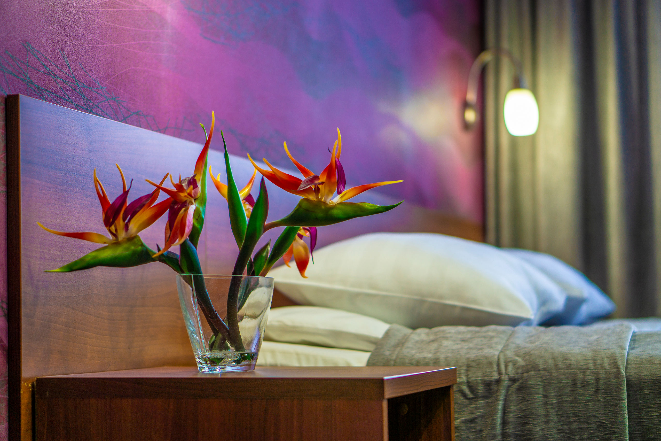 Улучшенный двухместный номер Делюкс с 1 кроватью или 2 отдельными кроватями