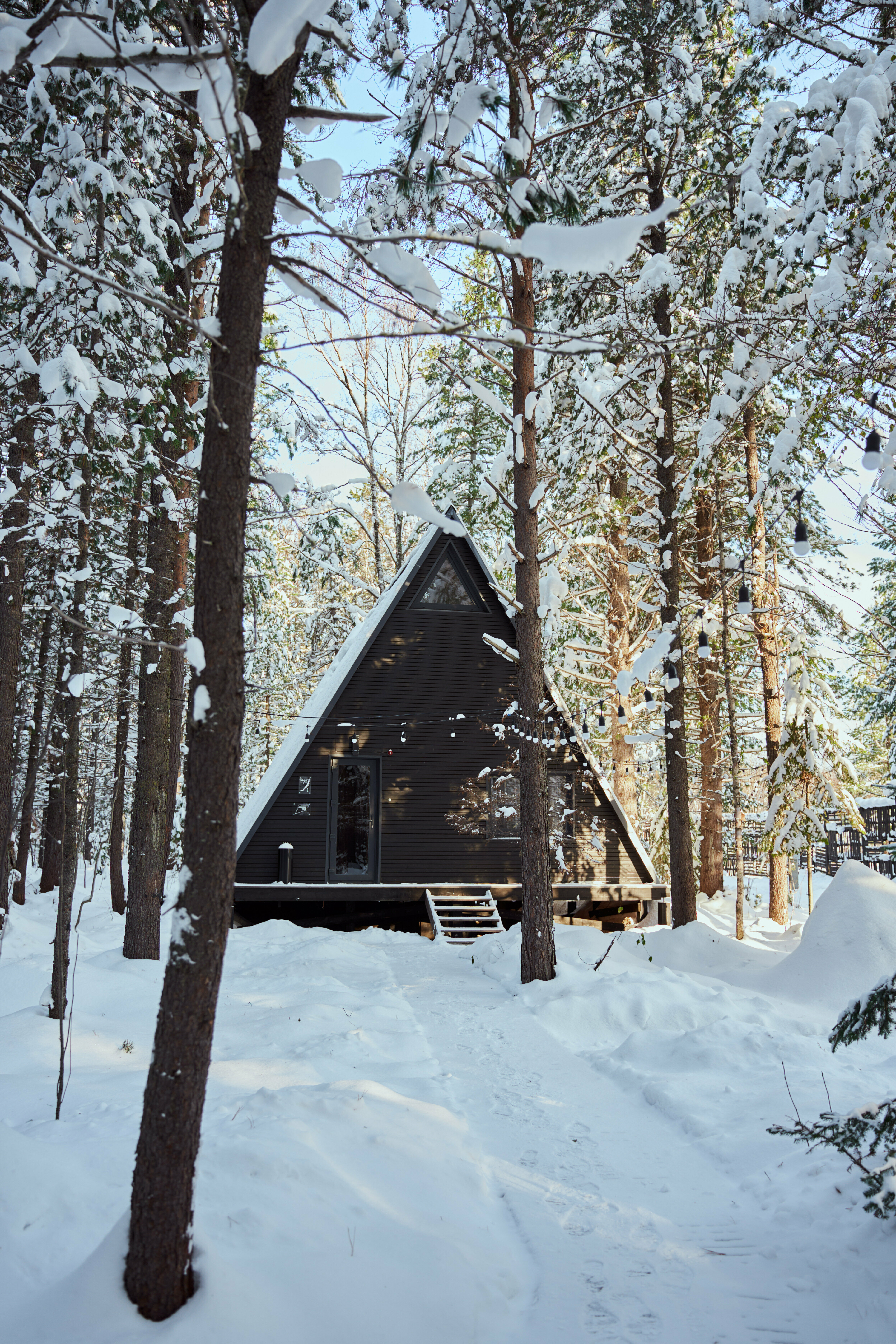 Дом с видом на лес