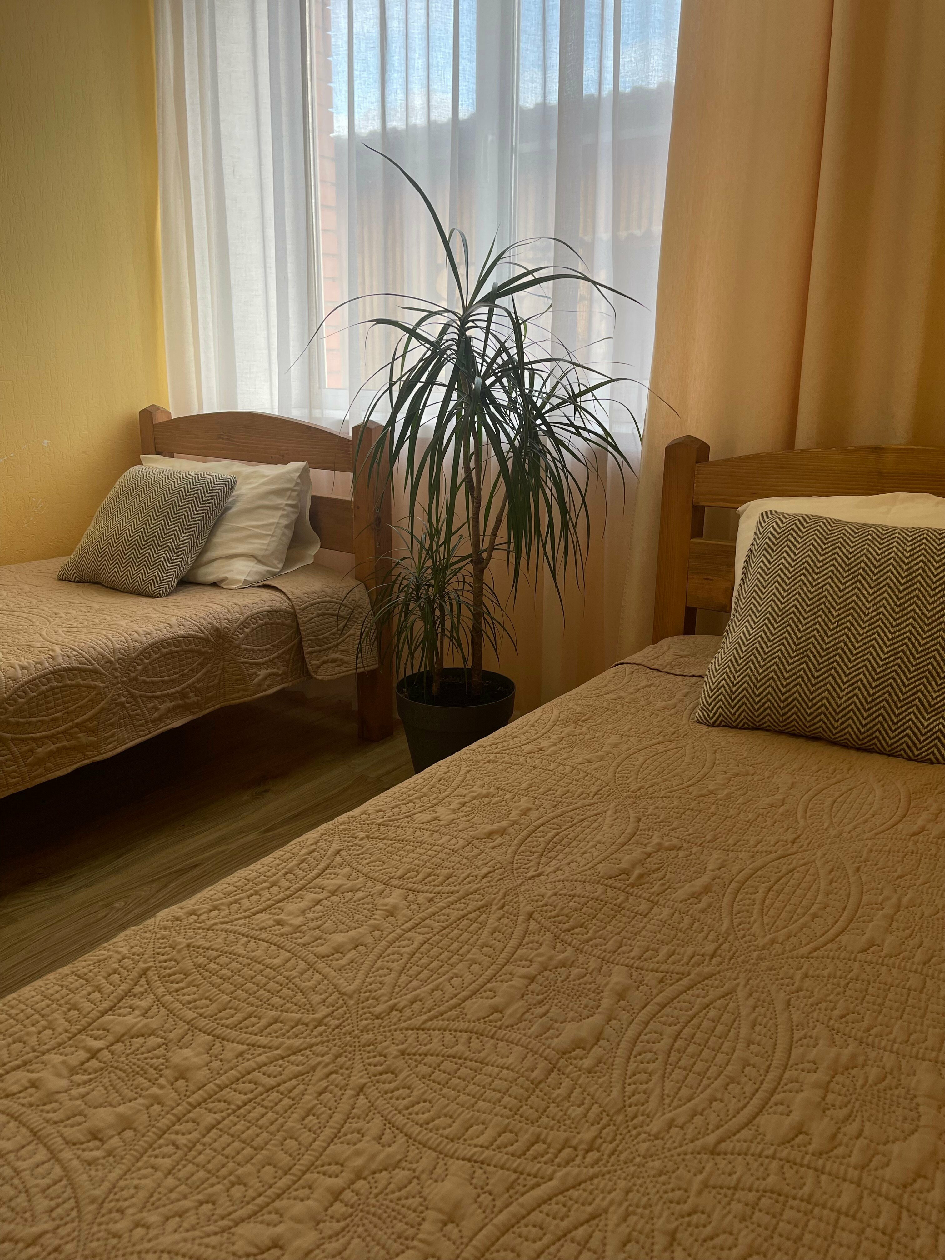 Кирпичный дом