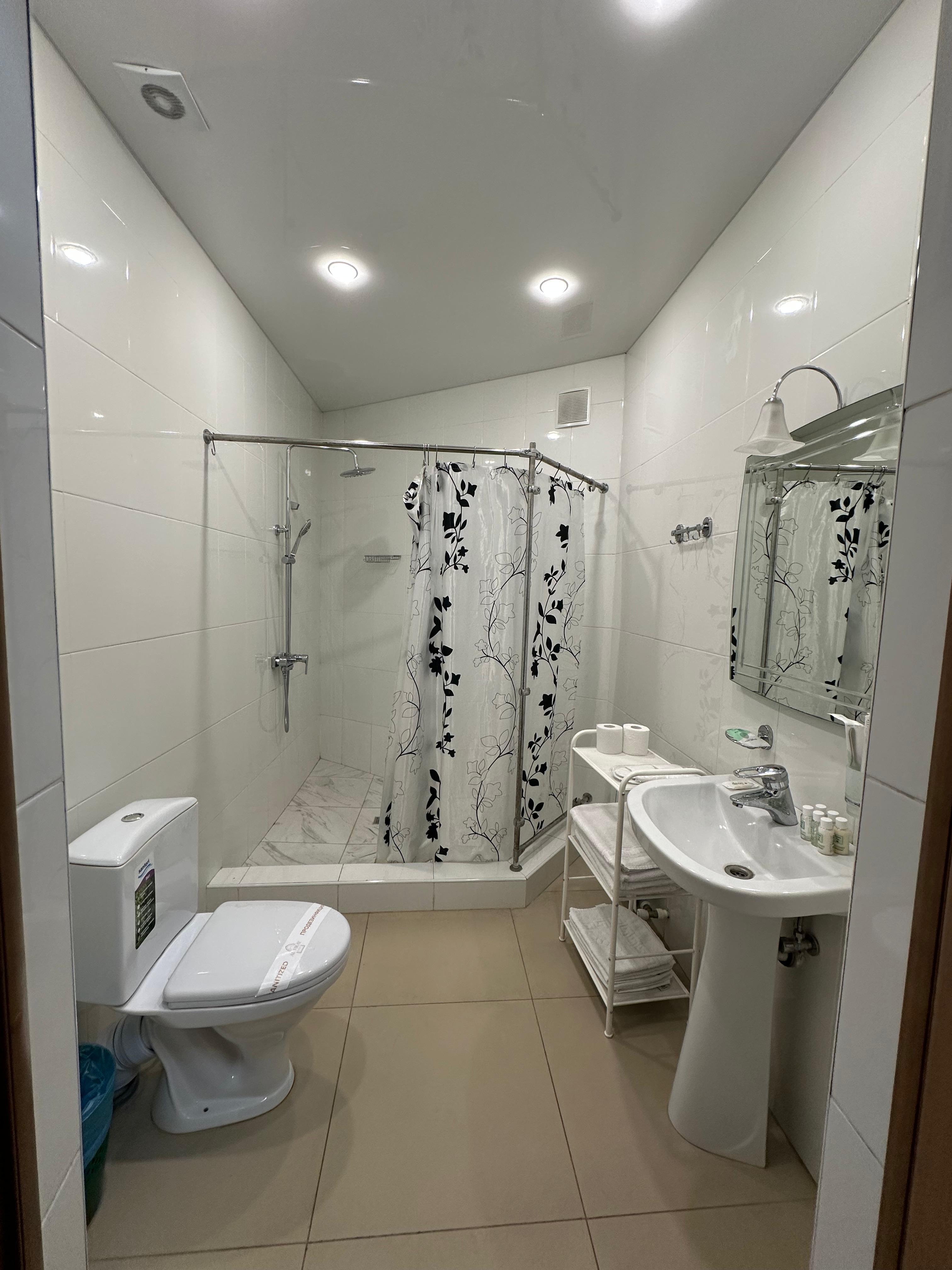 эконом твин