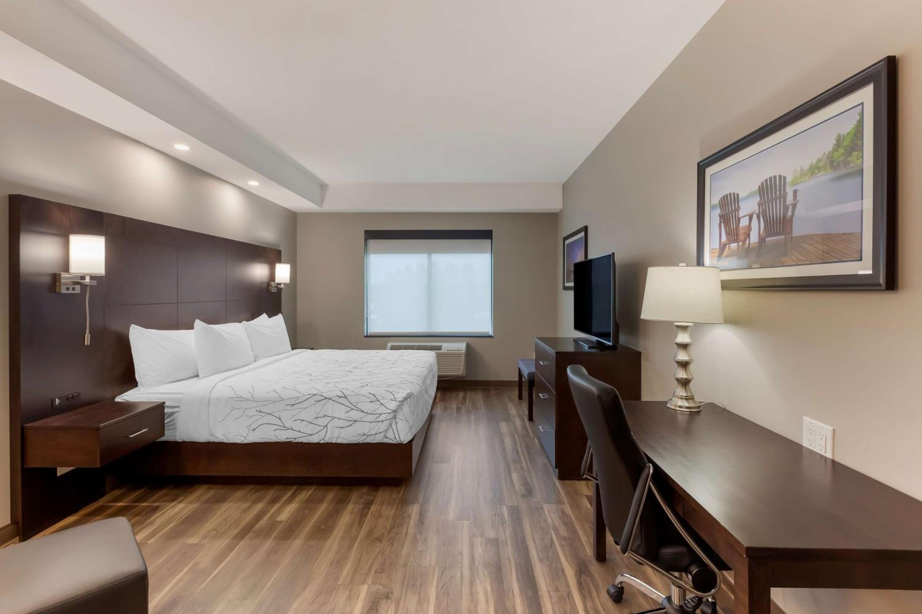 King Room - Non-Smoking