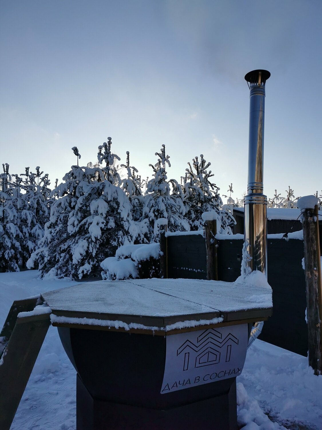 Коттедж с видом на лес