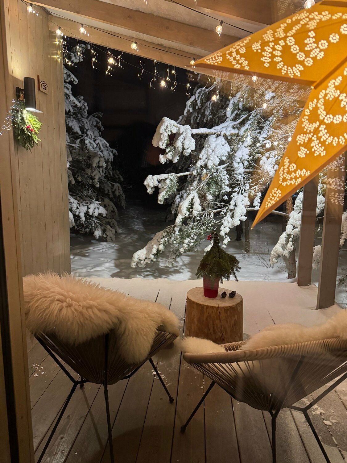 Дом с видом на лес