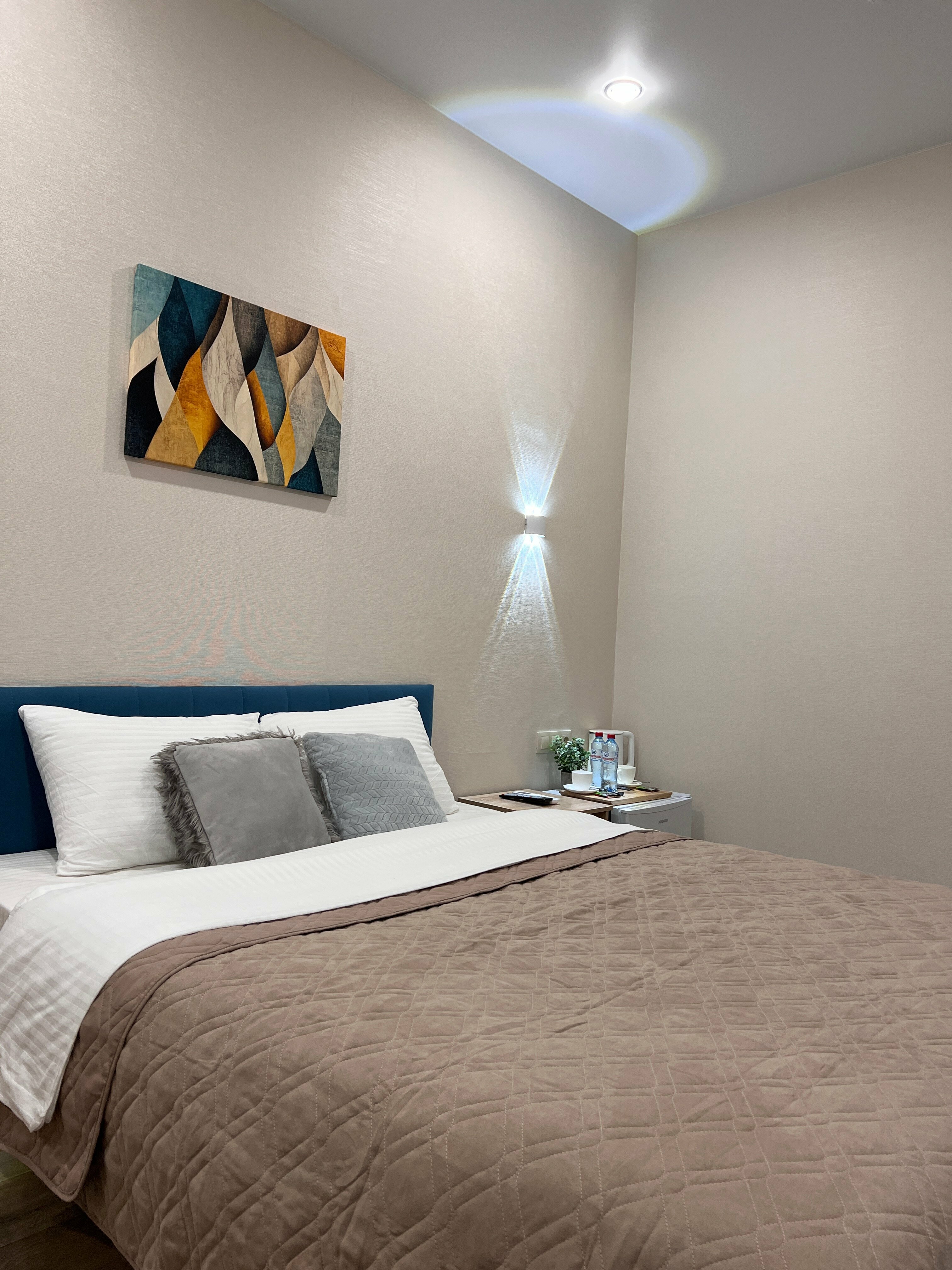 Двухместный номер с 1 кроватью и видом на парк