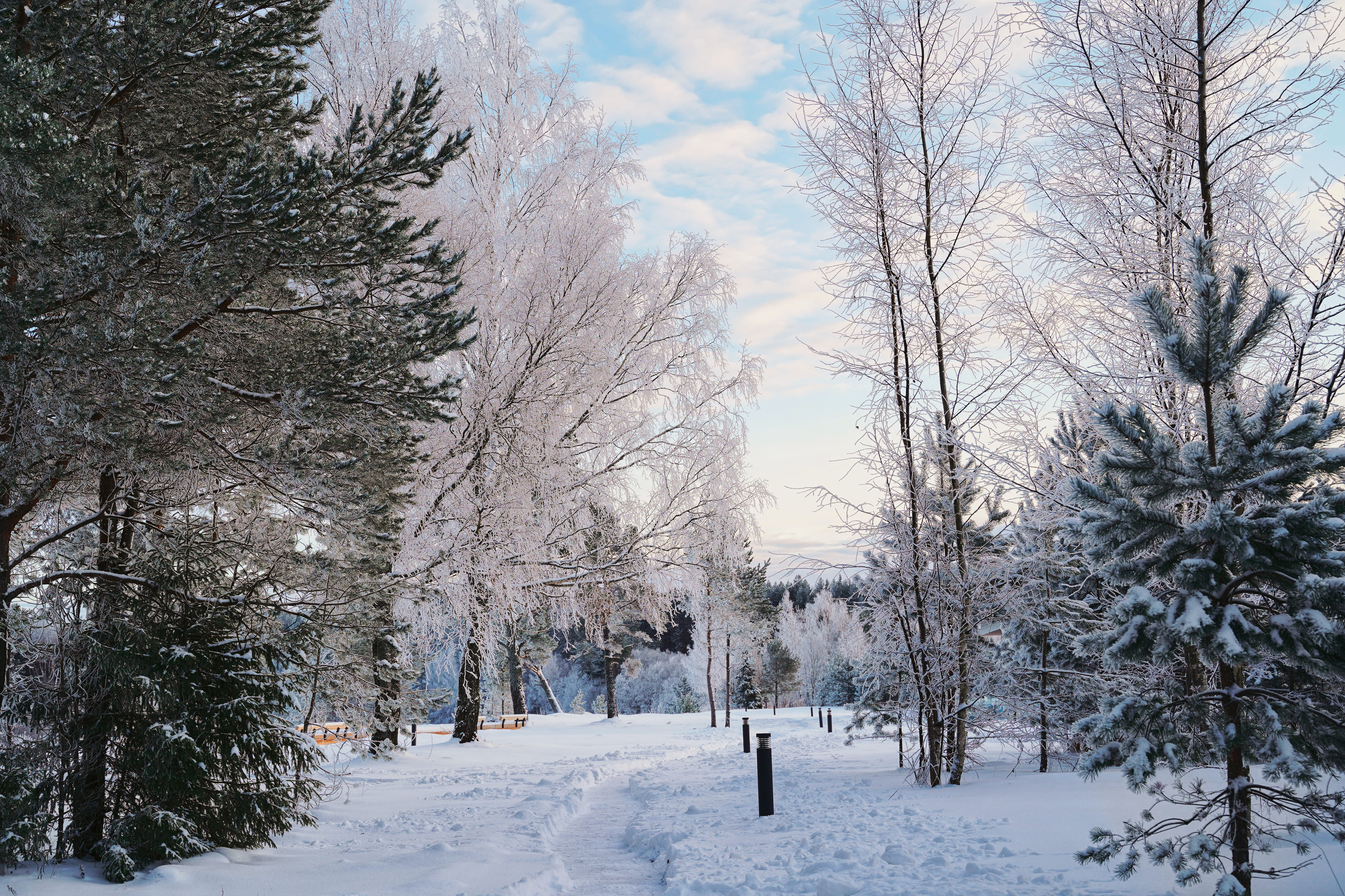 Студия с банкетом и бранчем в ресторане отеля