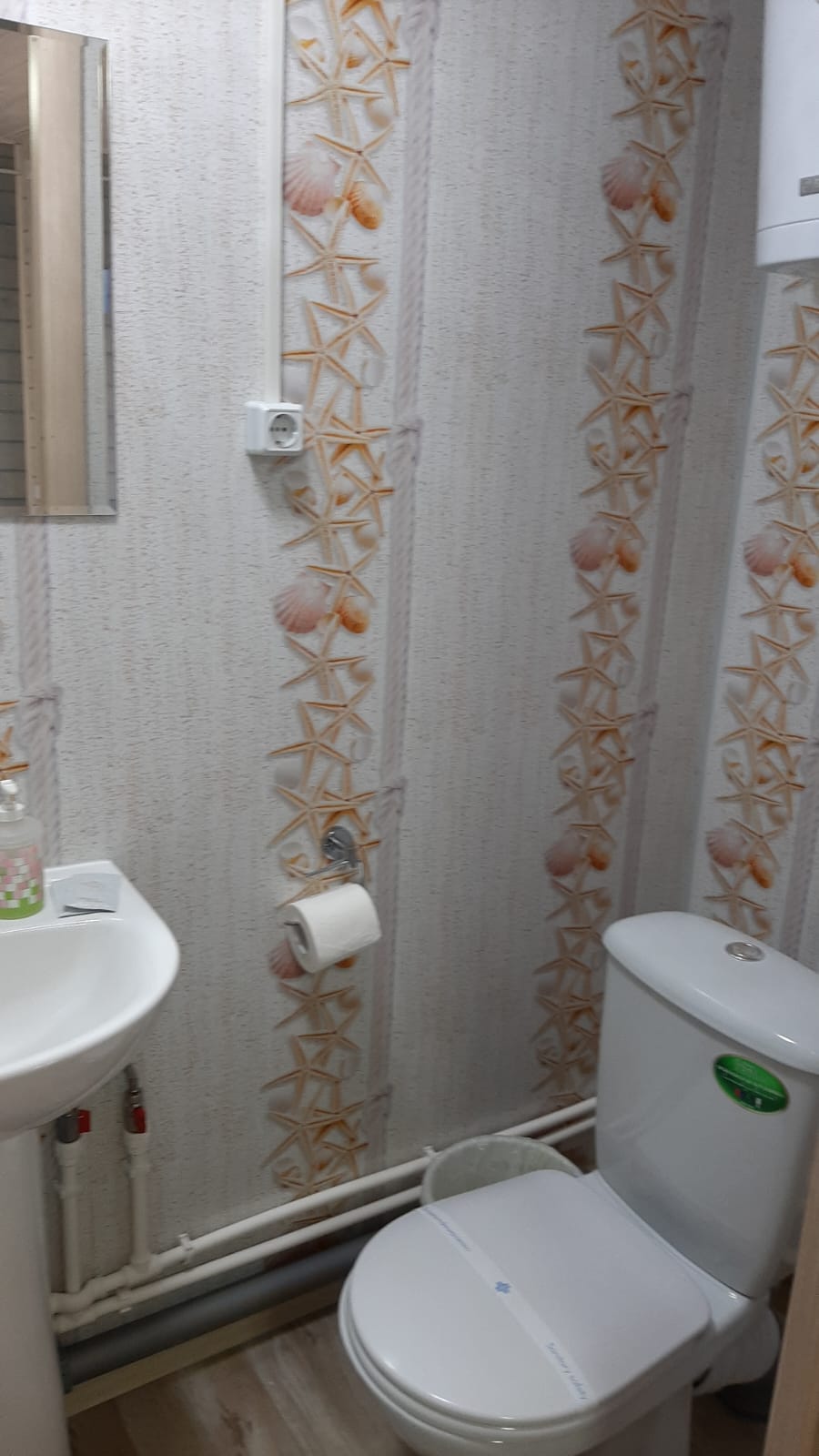 Двухместный дом с видом на Катунь и горы