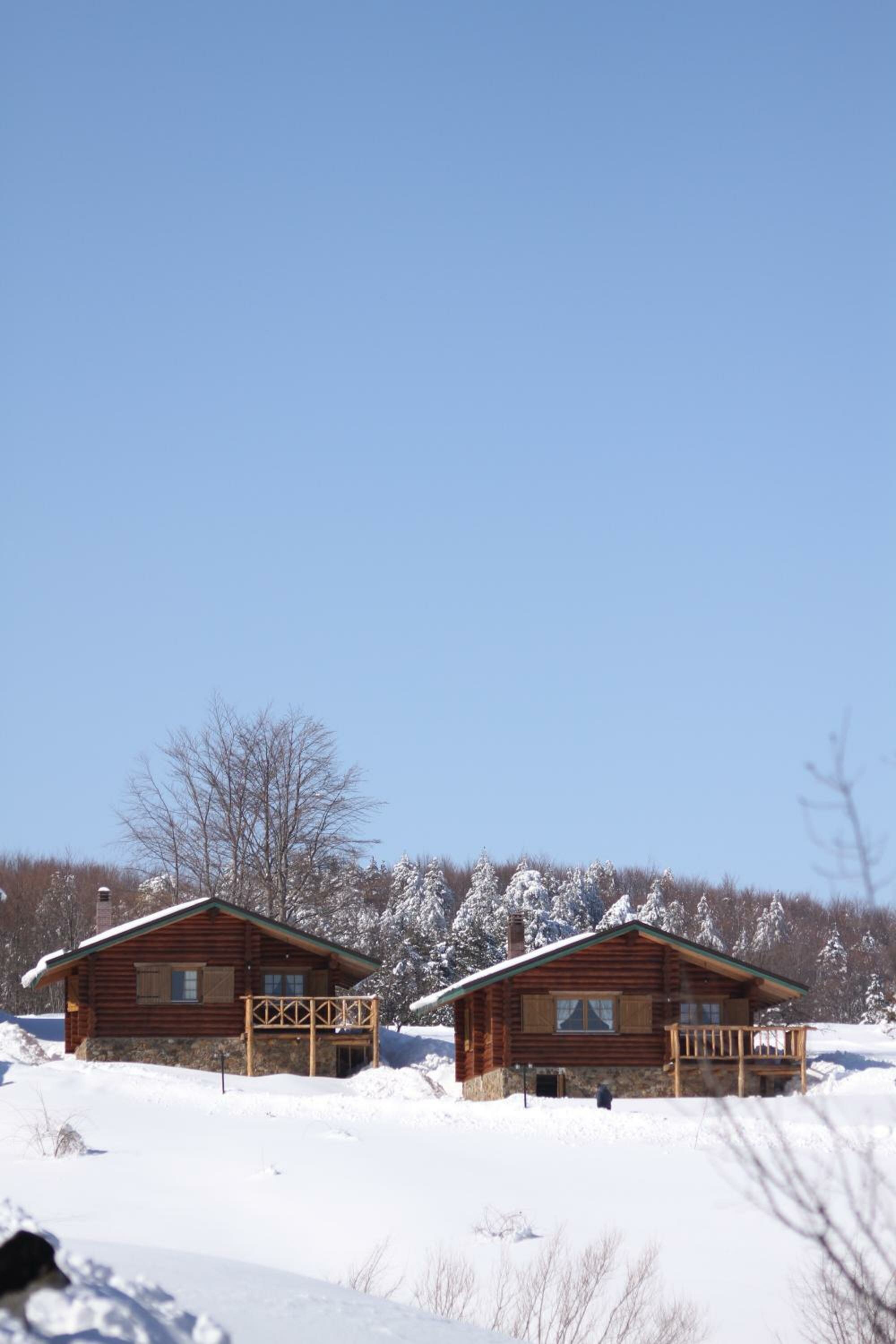 Chalet with fireplace