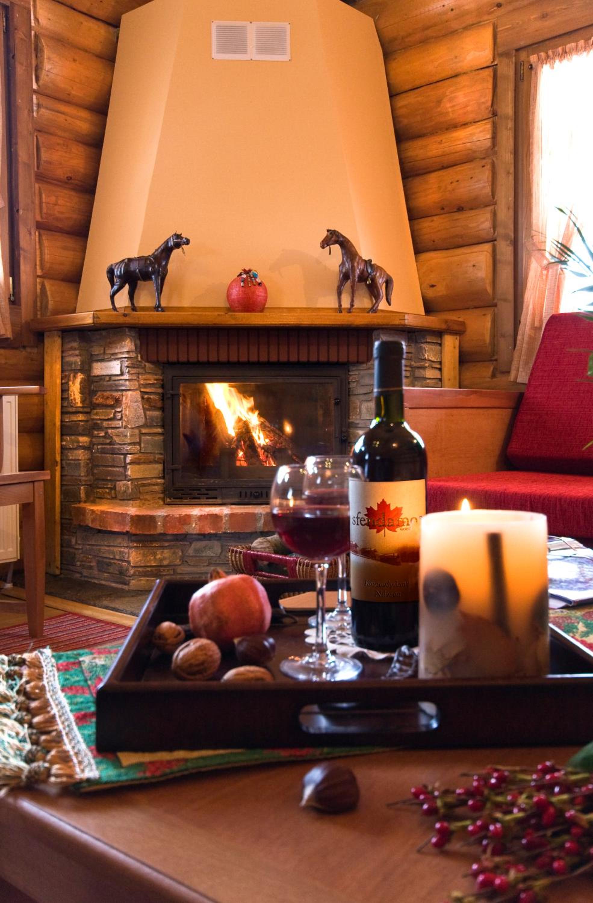 Chalet with fireplace