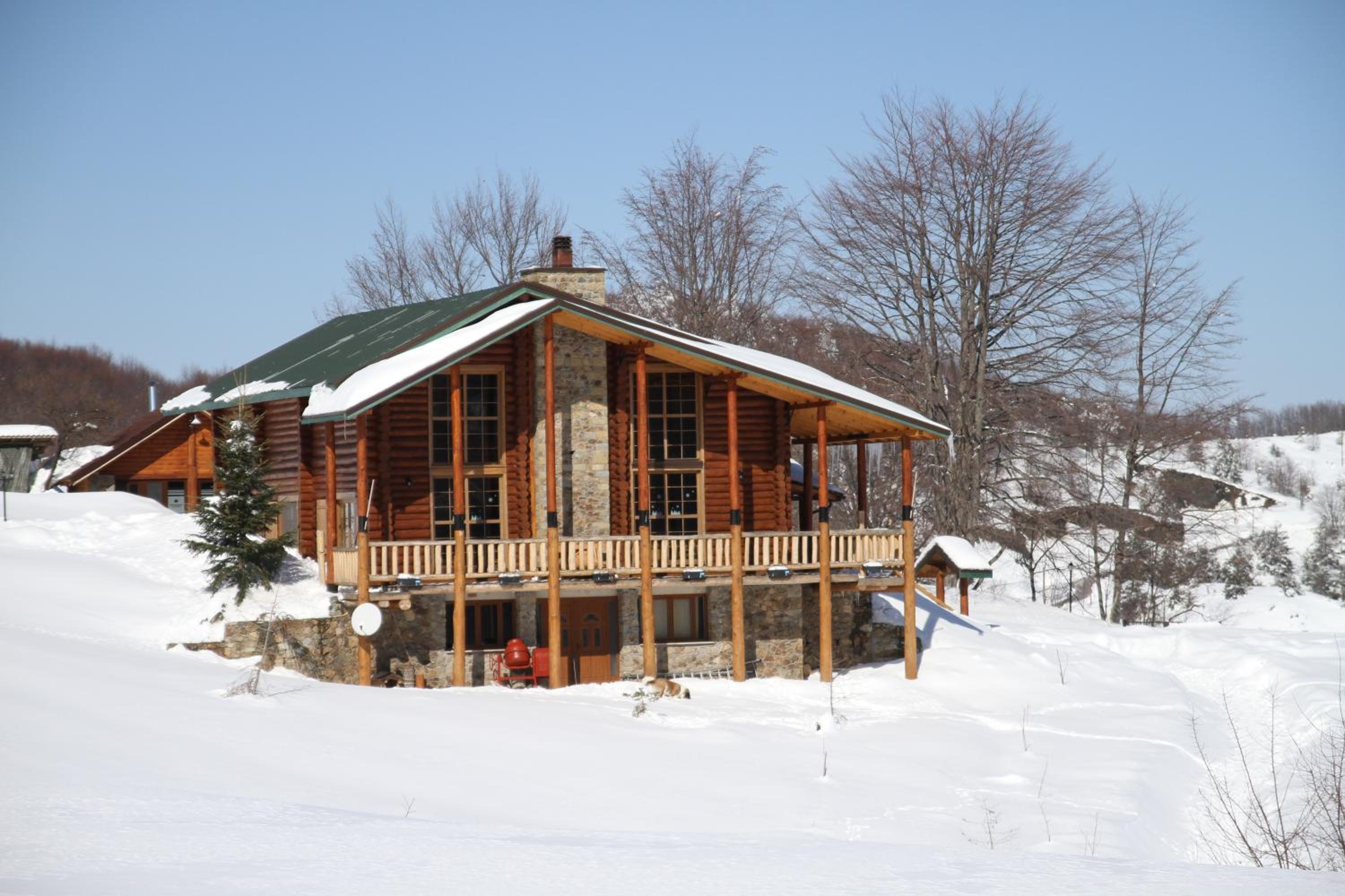 Chalet with fireplace