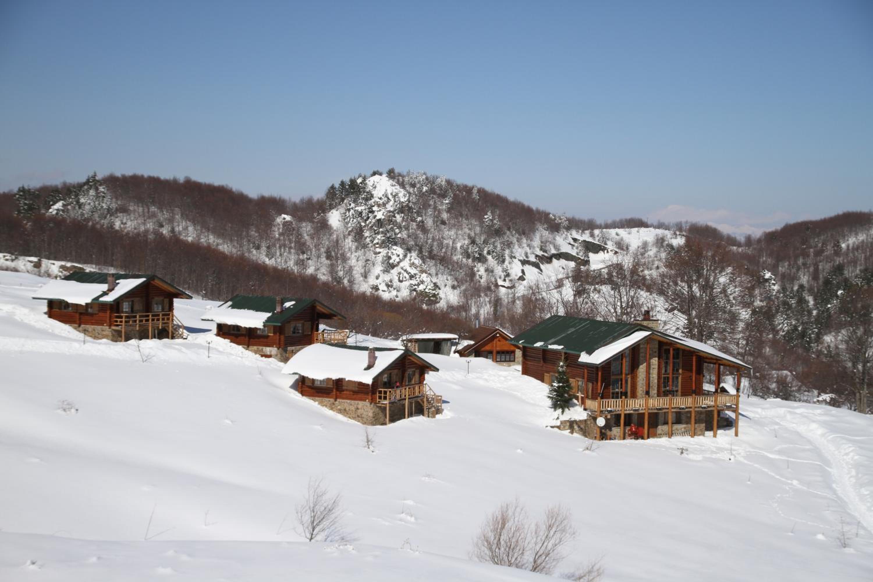 Chalet with fireplace