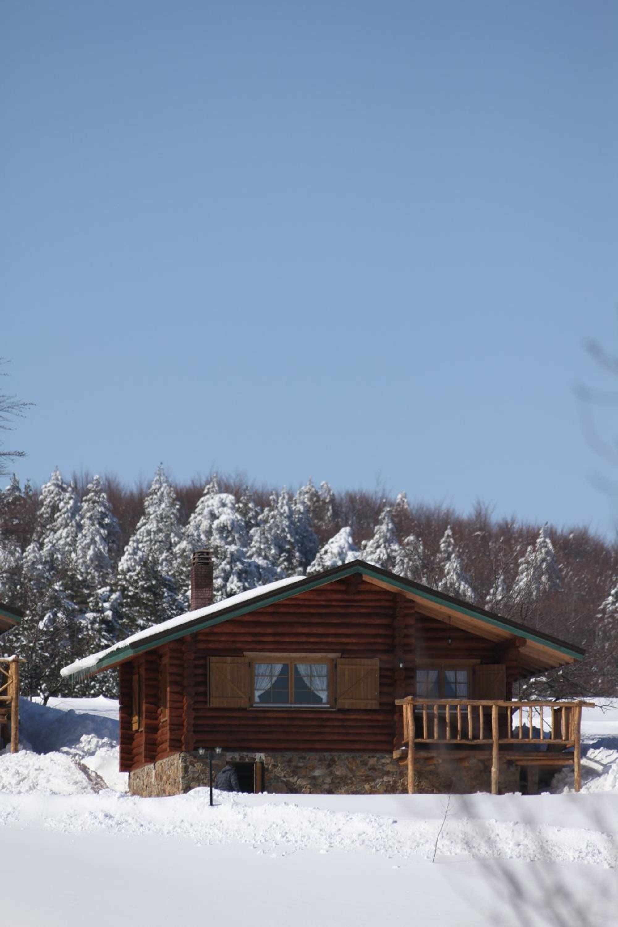Chalet with fireplace