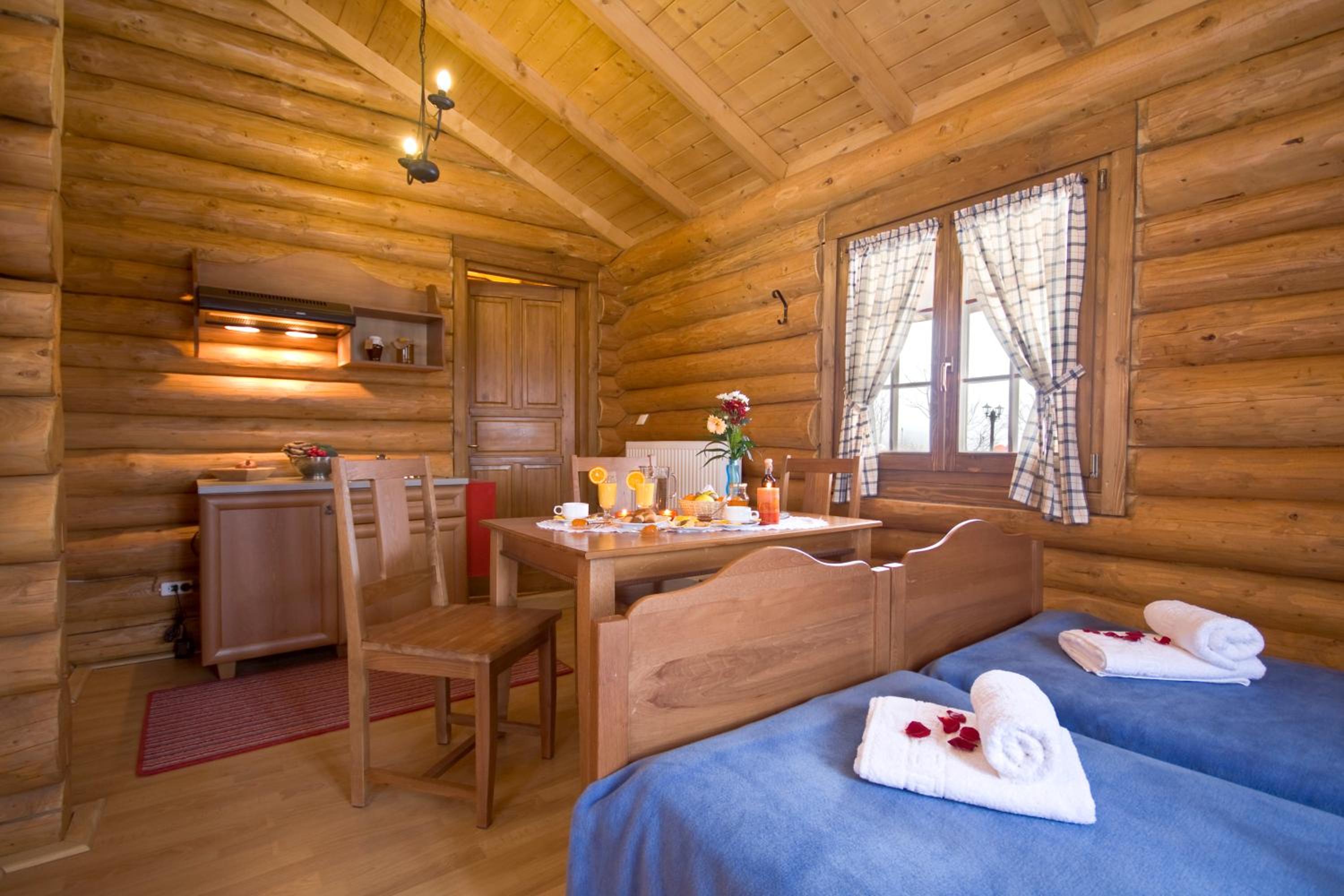 Chalet with fireplace