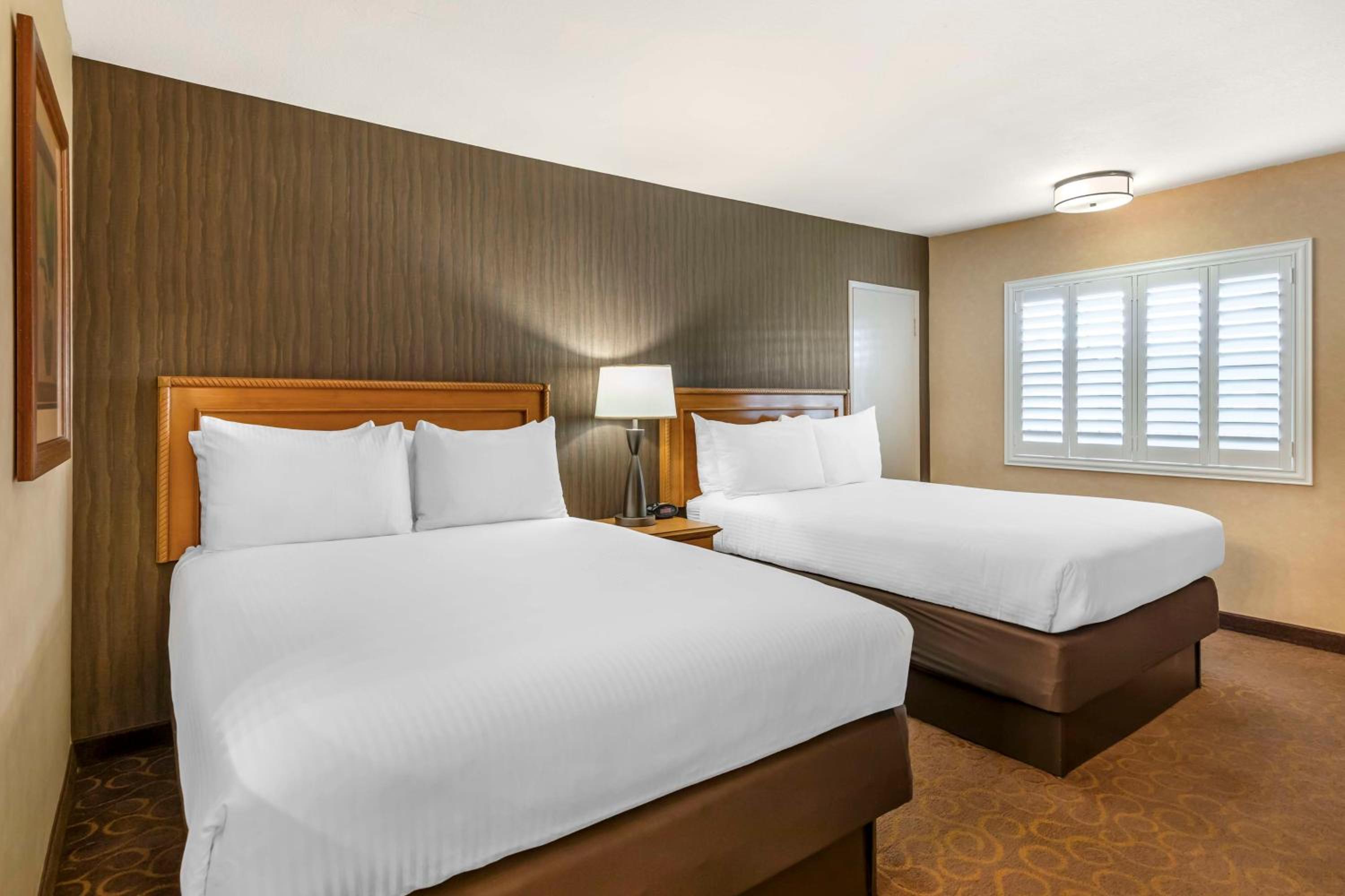 Double Room with Two Double Beds - Non-Smoking