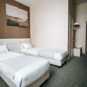 Стандарт твин