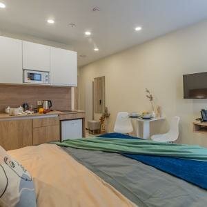 Апартаменты в скандинавском стиле 25 кв.м.