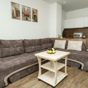 915 Стандарт (двуспальный диван и 1-местное кресло-кровать)