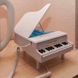 Двухместный номер Комфорт с 1й кроватью