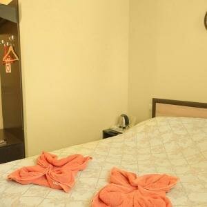 СТАНДАРТ ДВУХМЕСТНЫЙ (1 ДВУСПАЛЬНАЯ ИЛИ 2 ОДНОСПАЛЬНЫЕ КРОВАТИ)