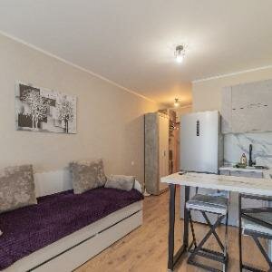 Студия комфорт 25 кв.м. с дополнительным местом