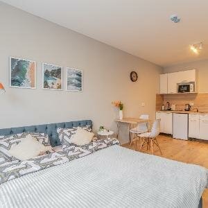 Студия комфорт 25 кв.м. с дополнительным местом