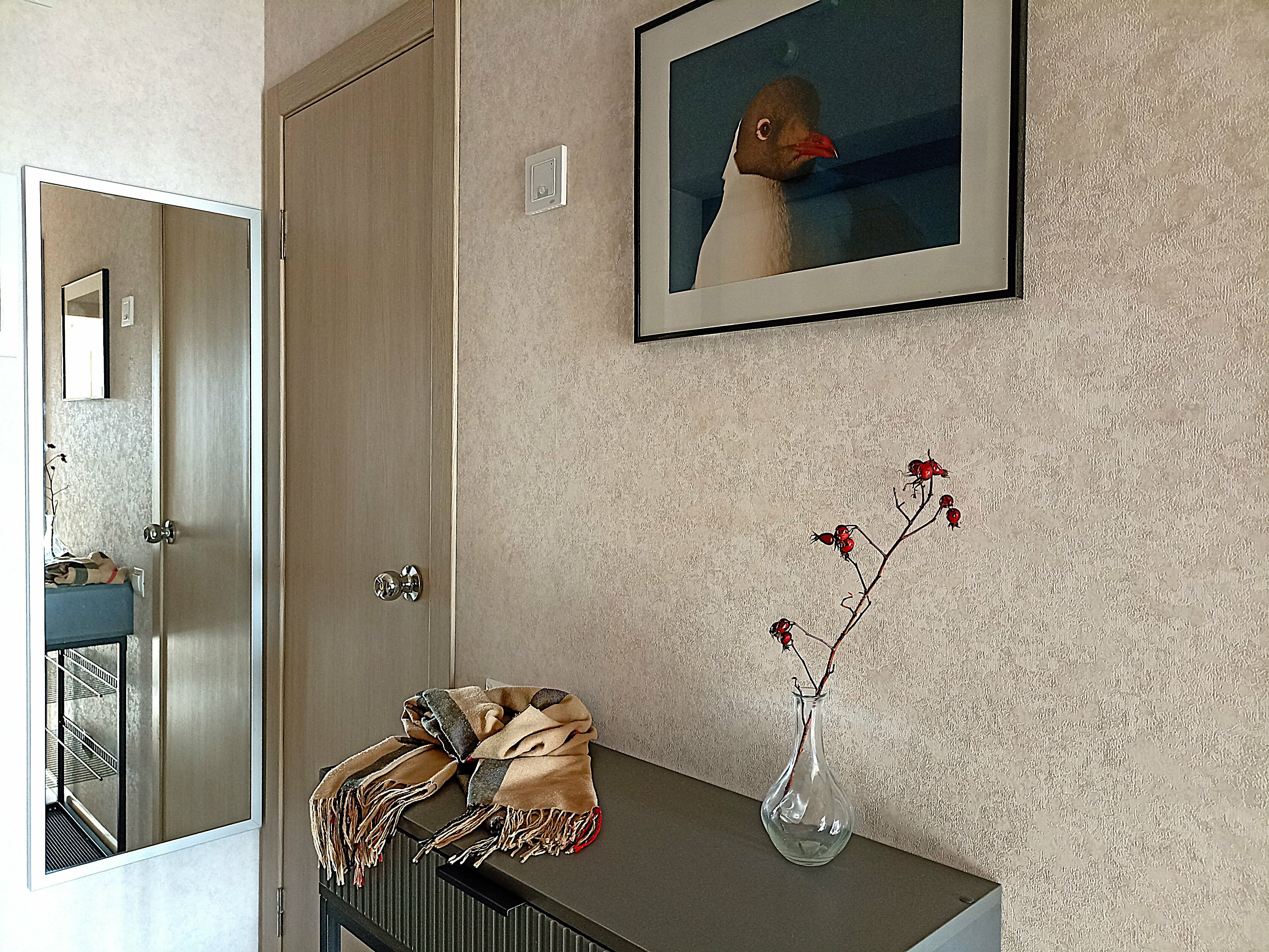 Апартаменты-студия