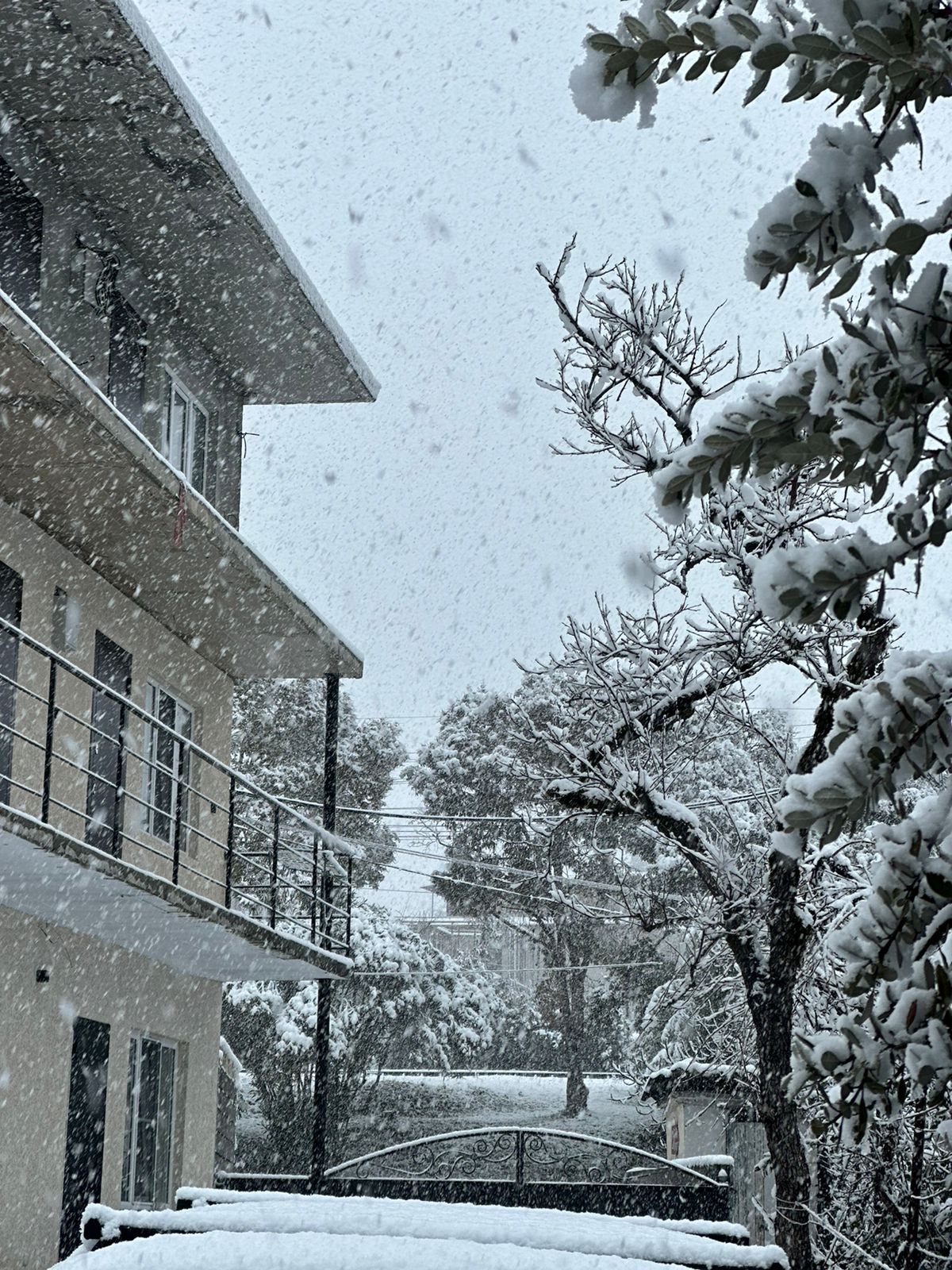 Классический трехместный номер