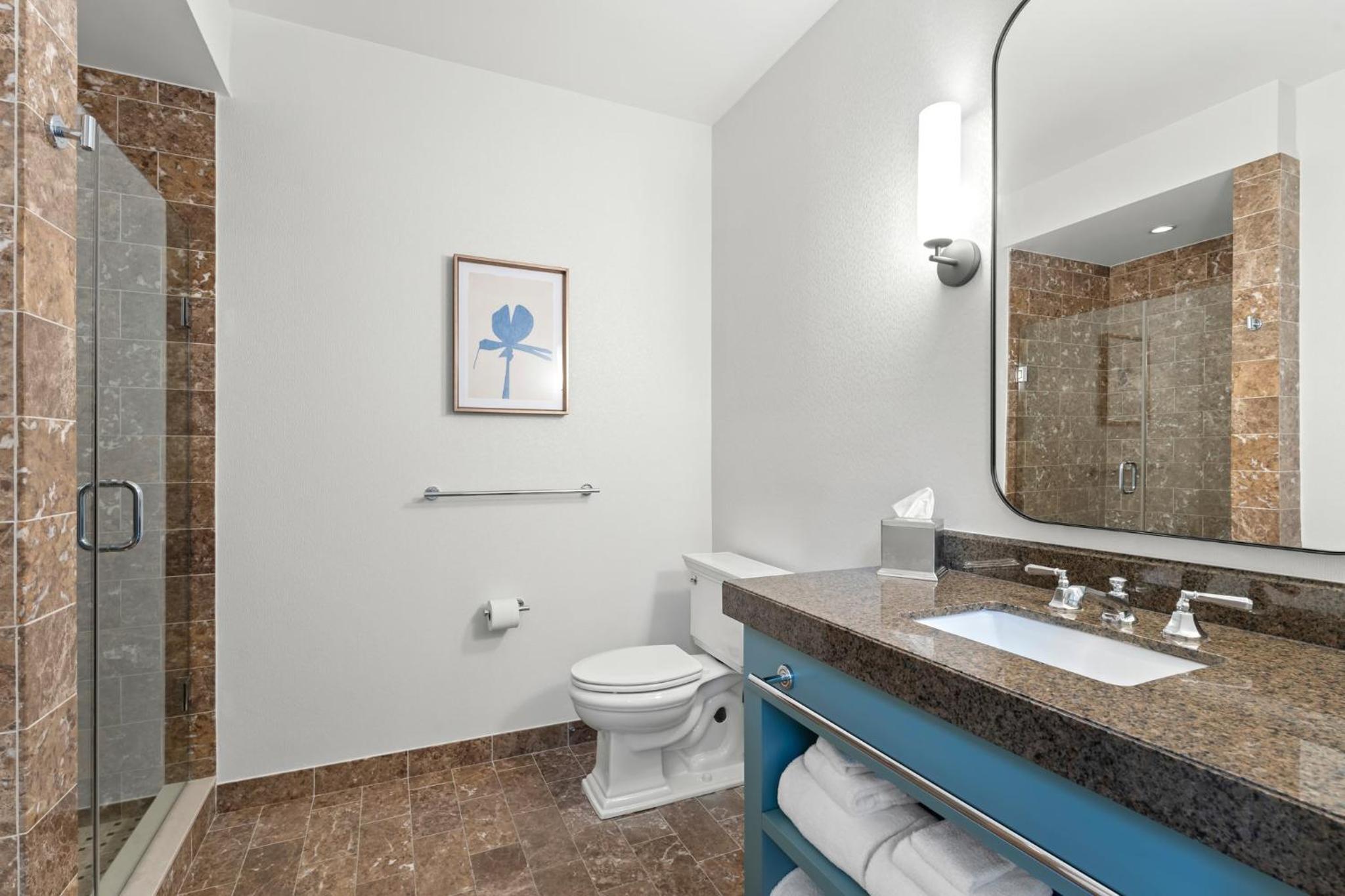 King Room with Mobility Accessible Roll-In Shower - Non-Smoking